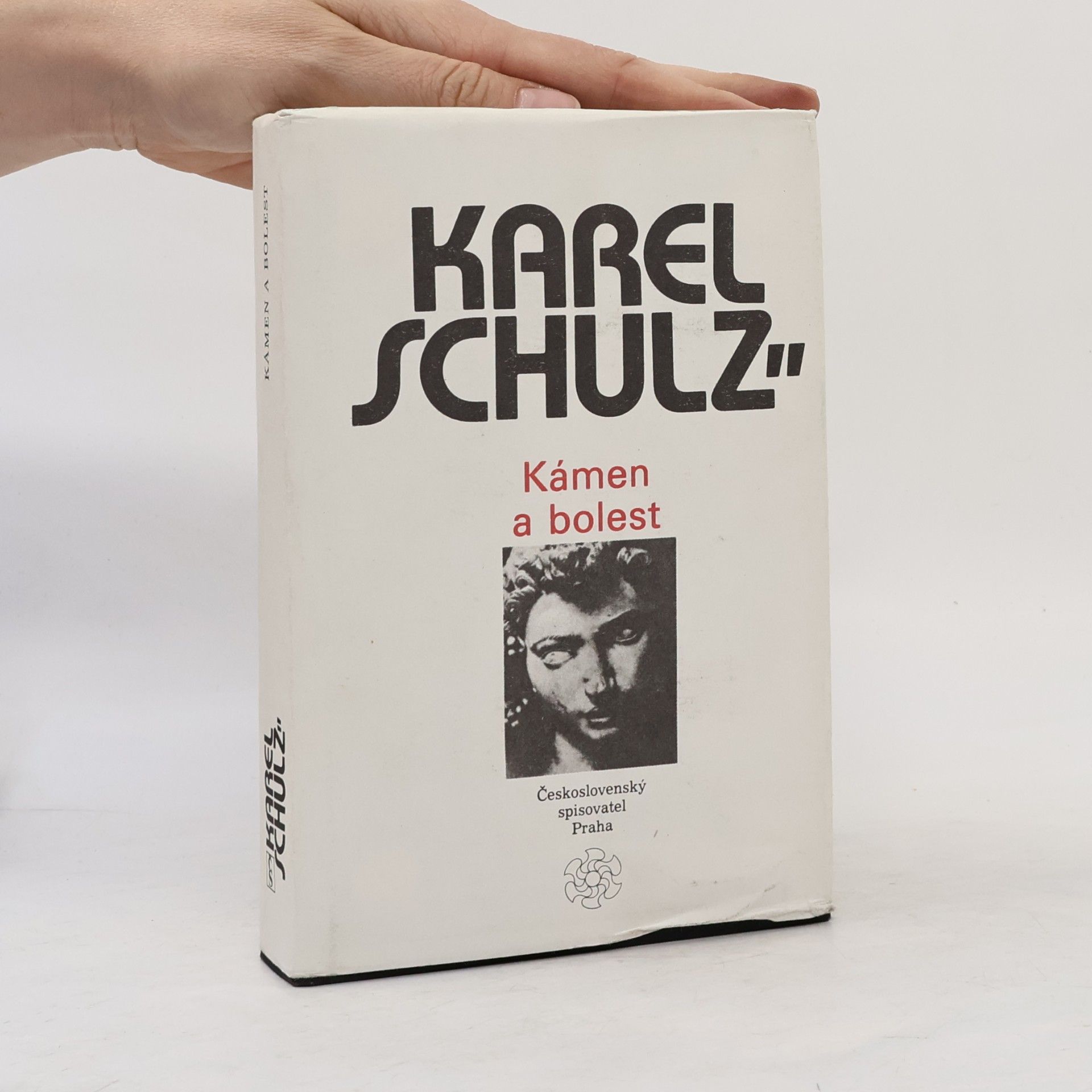 Karel Schulz Kámen a bolest