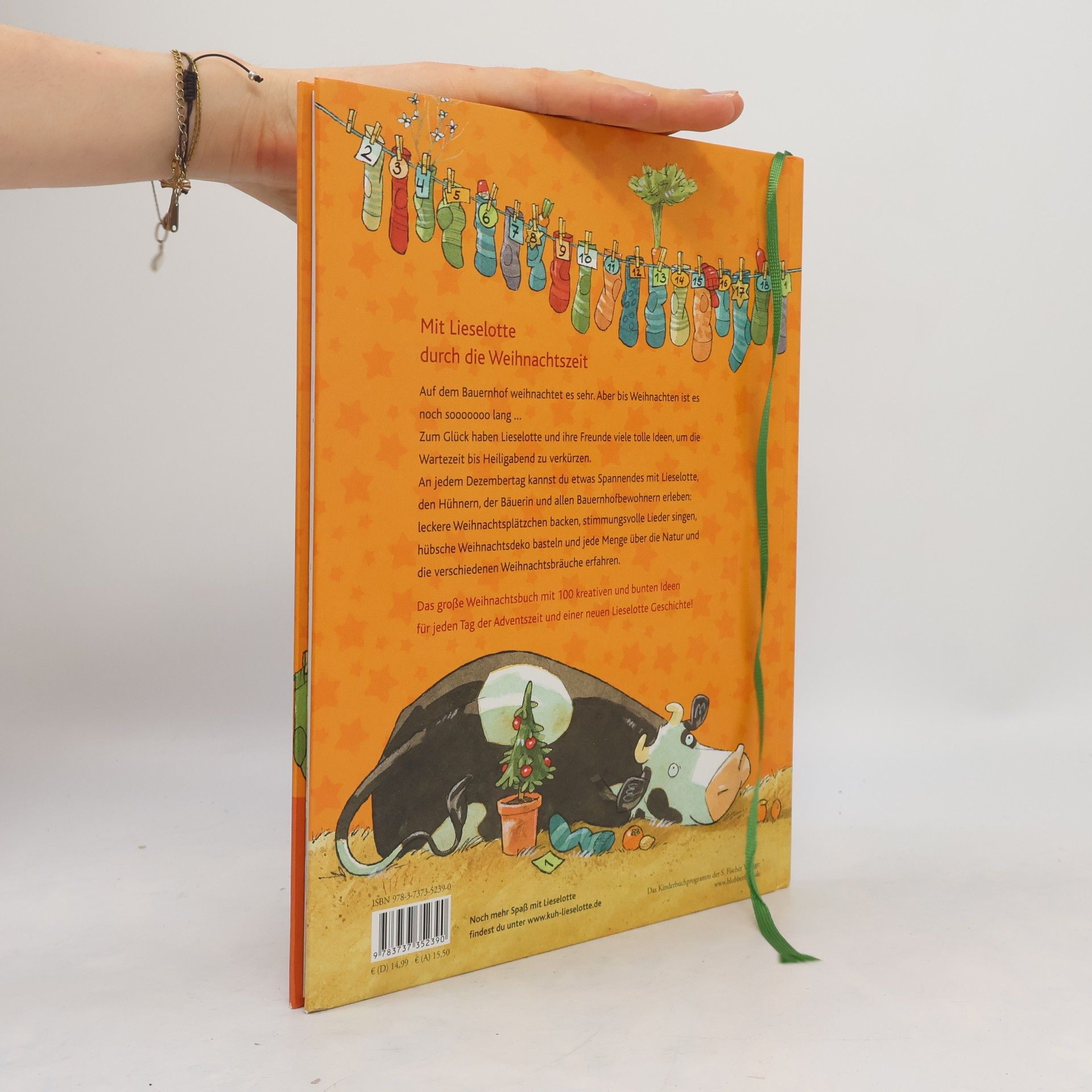 Alexander Steffensmeier Das große Lieselotte-Weihnachtsbuch