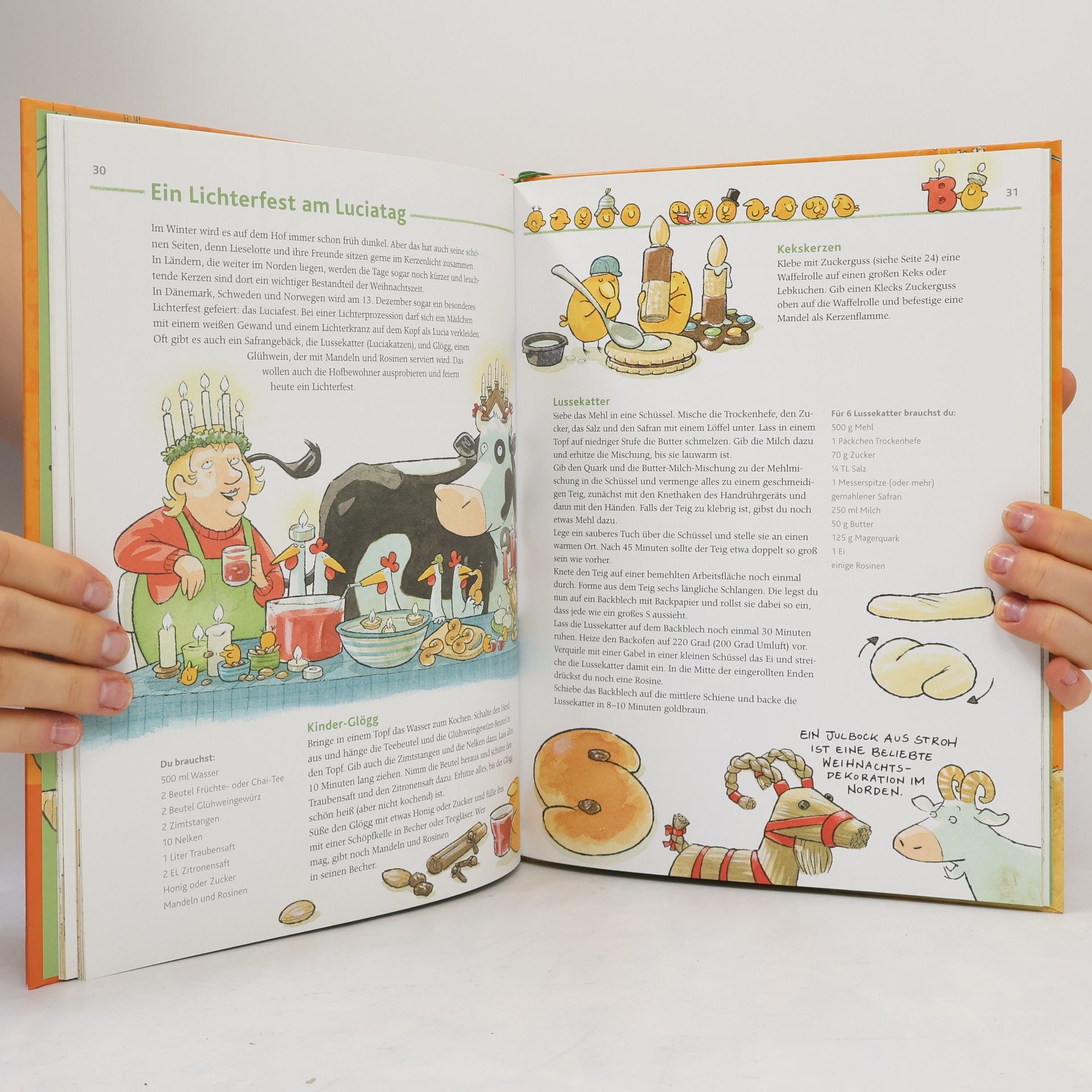 Alexander Steffensmeier Das große Lieselotte-Weihnachtsbuch