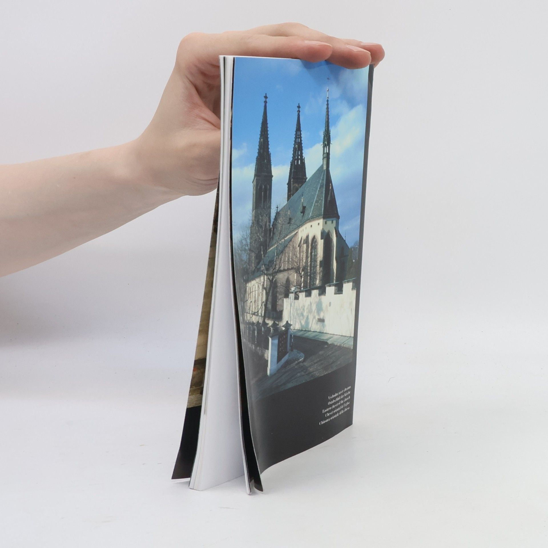 Bořivoj Nechvátal Vyšehrad. Kapitulní chrám sv. Petra a Pavla