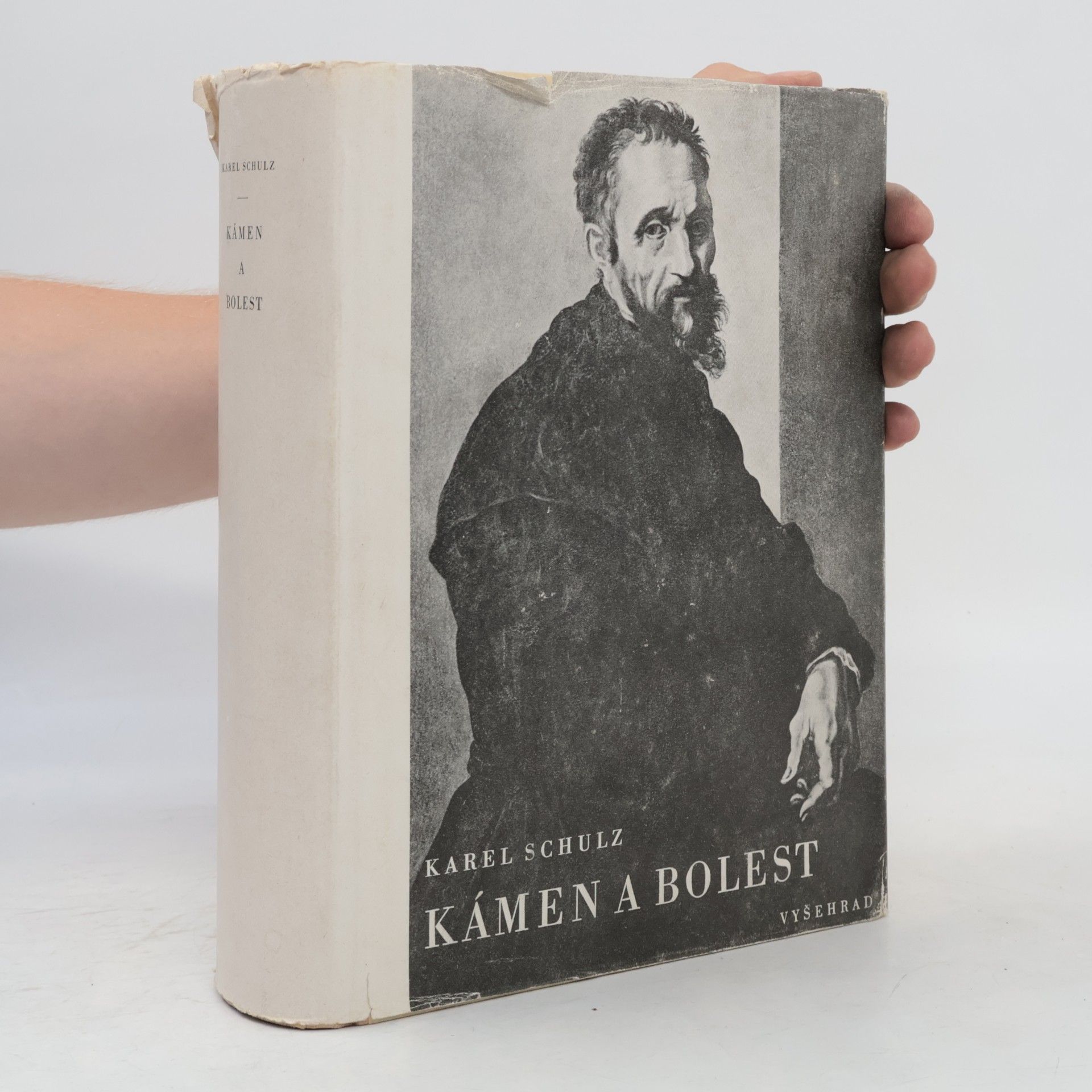Karel Schulz Kámen a bolest