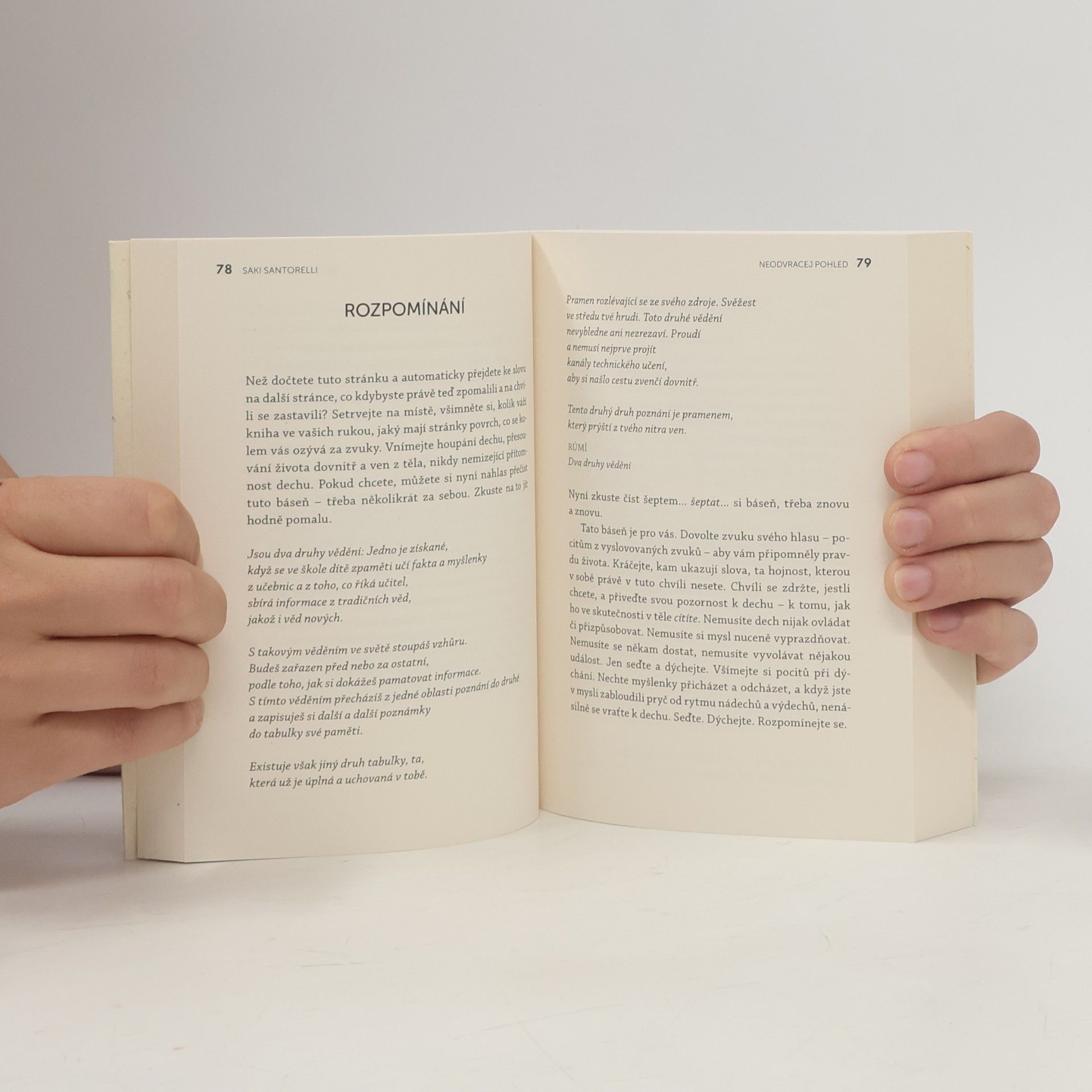 Saki Santorelli Neodvracej pohled : léčivá síla mindfulness