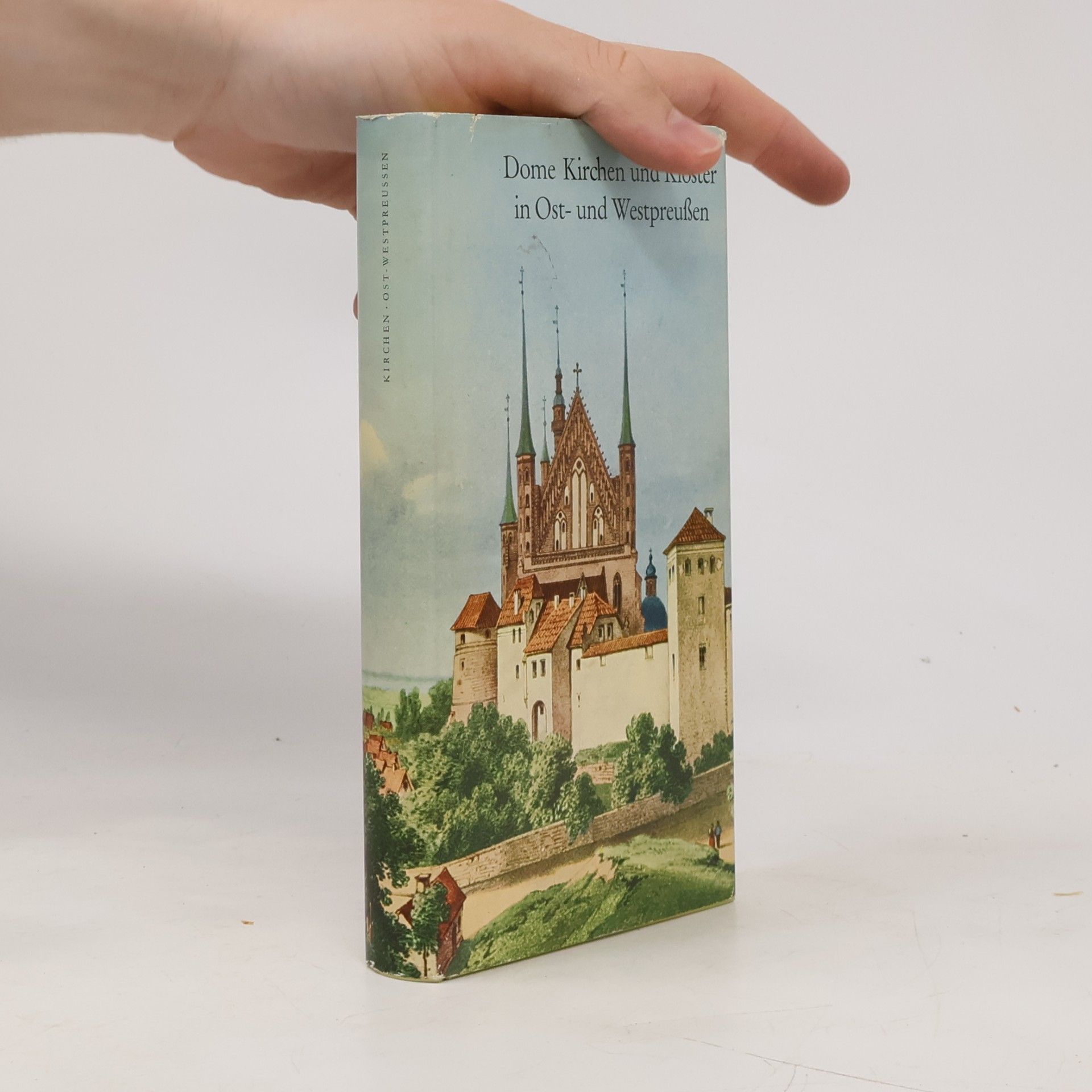 Kolektiv autorů Dome Kirchen und Klöster in Ost- und Westpreußen