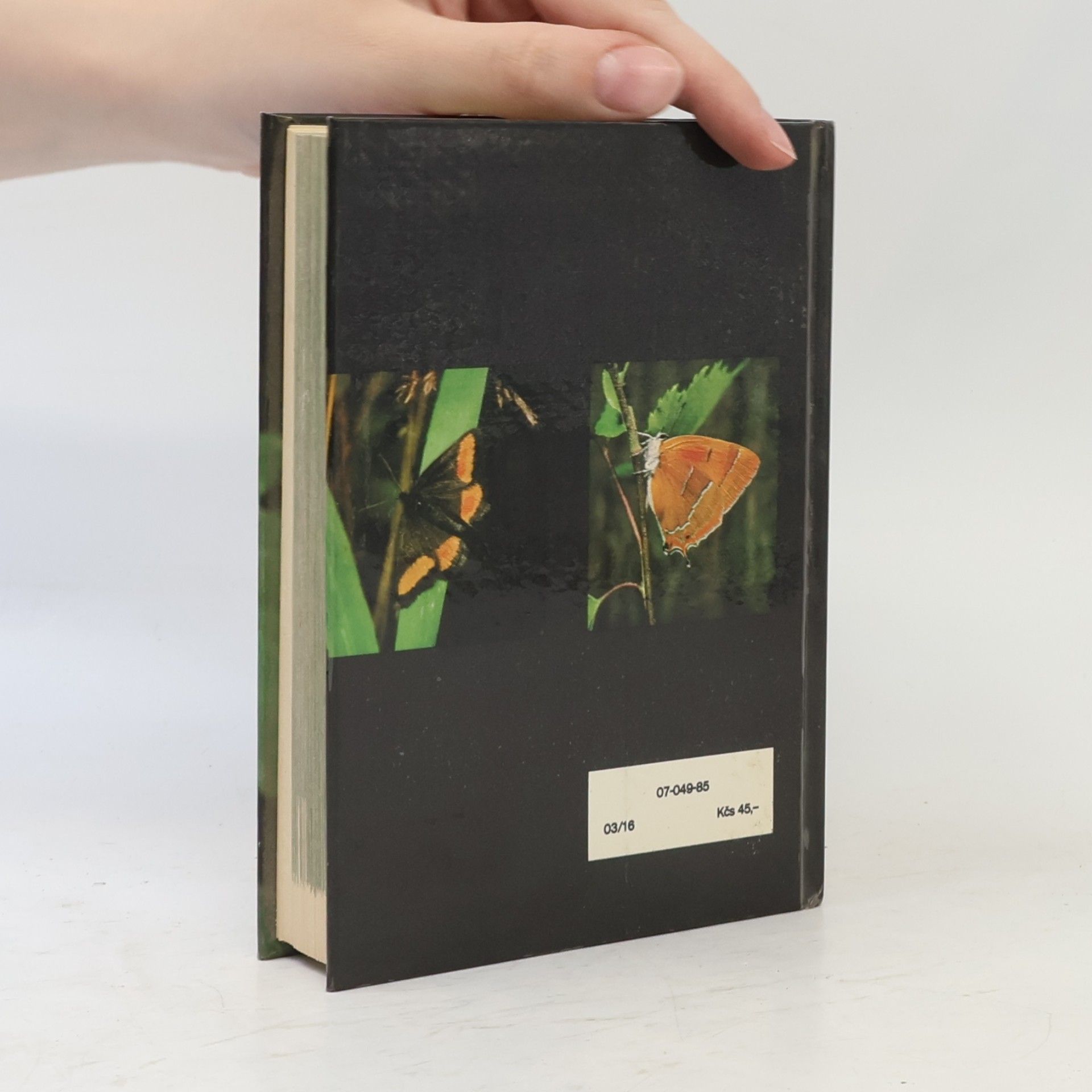 Rudolf Hrabák Kapesní atlas našich motýlů