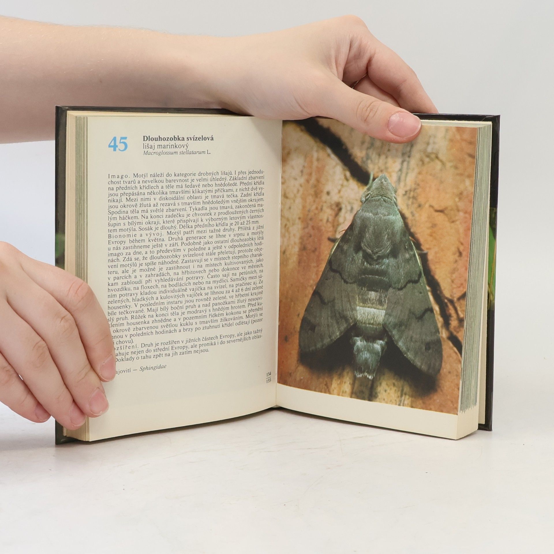 Rudolf Hrabák Kapesní atlas našich motýlů