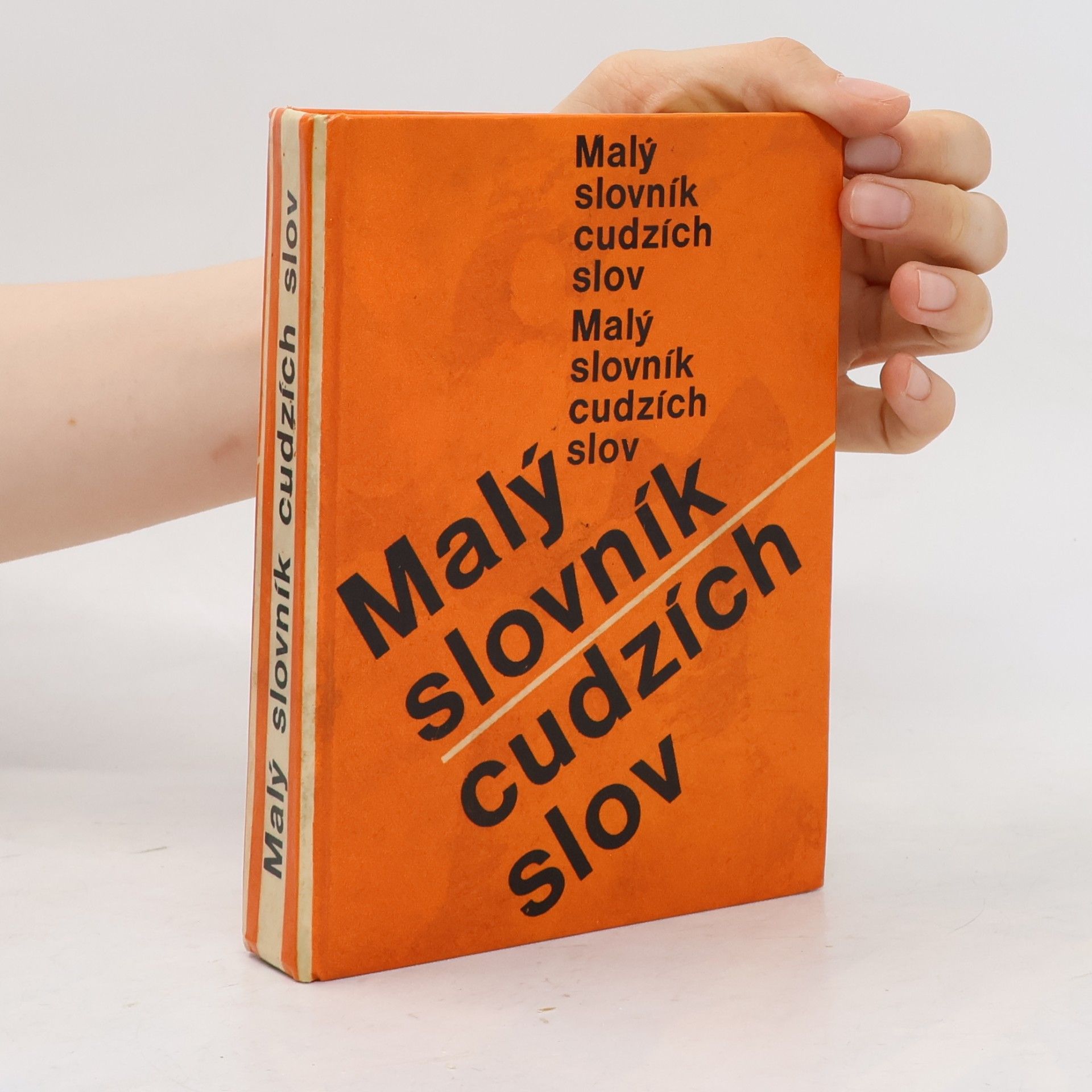 Mária Ivanová Šalingová Malý slovník cudzích slov