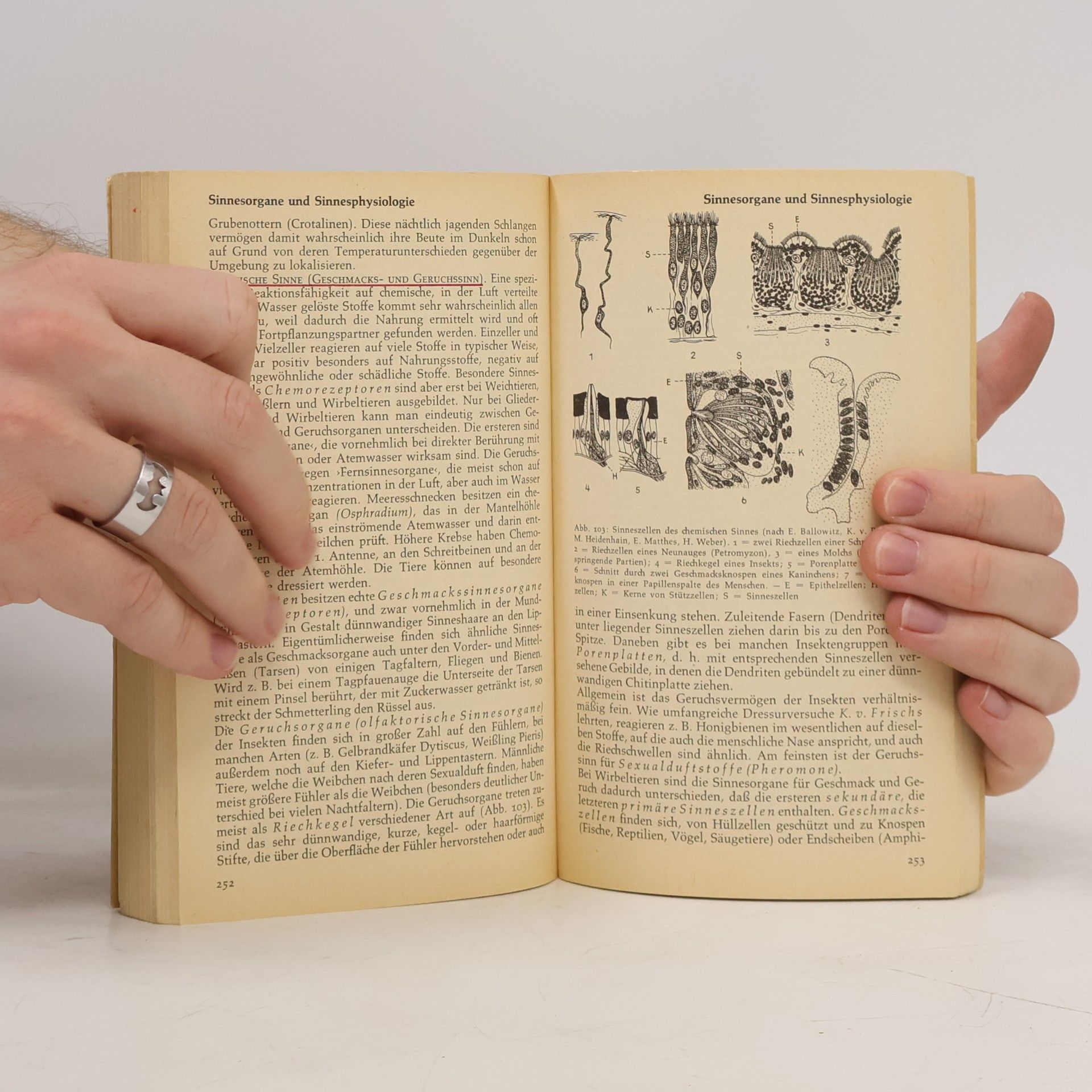 Wolf D. Zimmermann Biologie 2