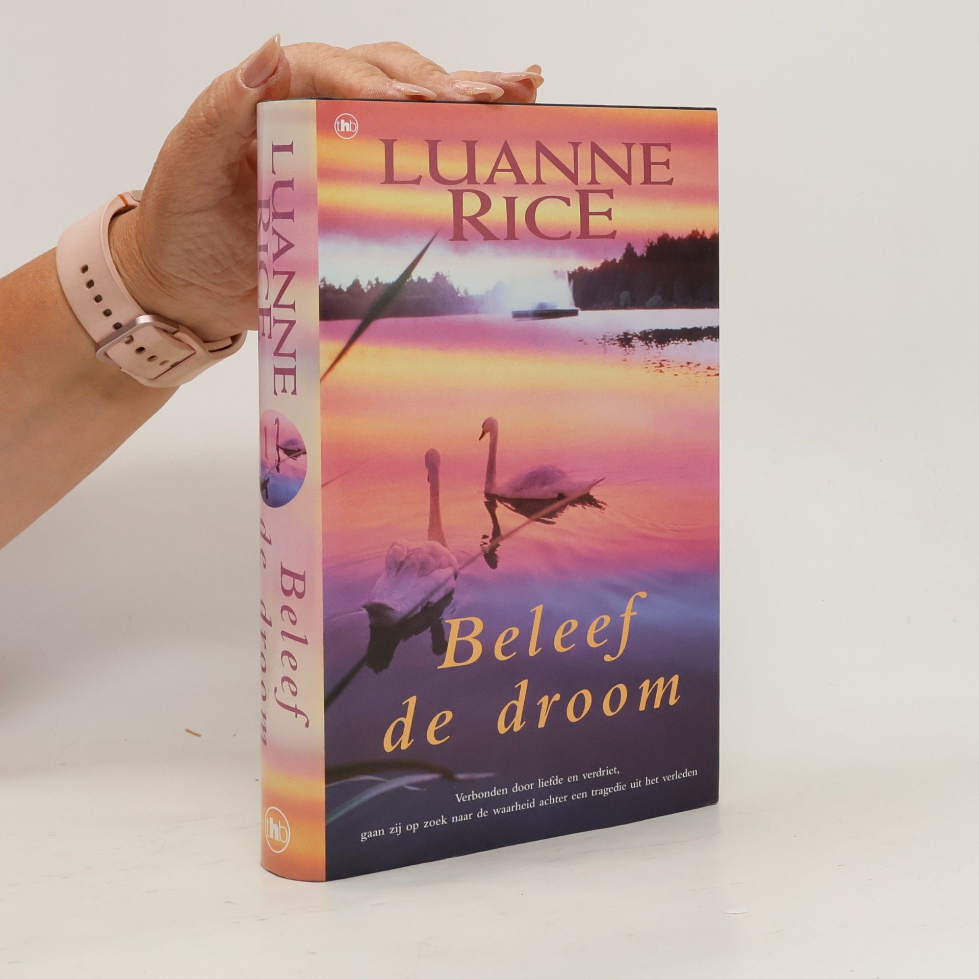 Luanne Rice Beleef de droom