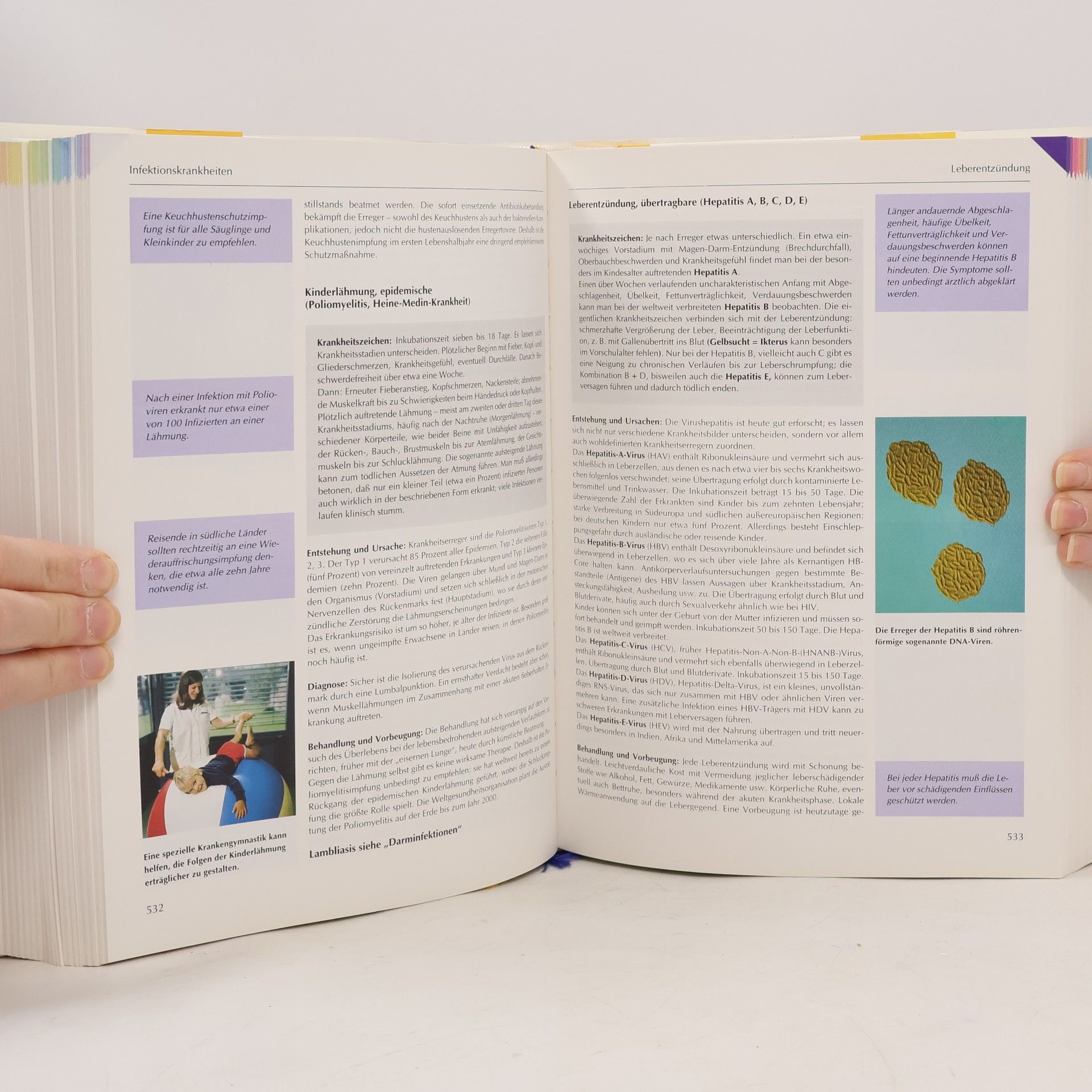 Heinrich Lucas Das neue grosse Gesundheitsbuch