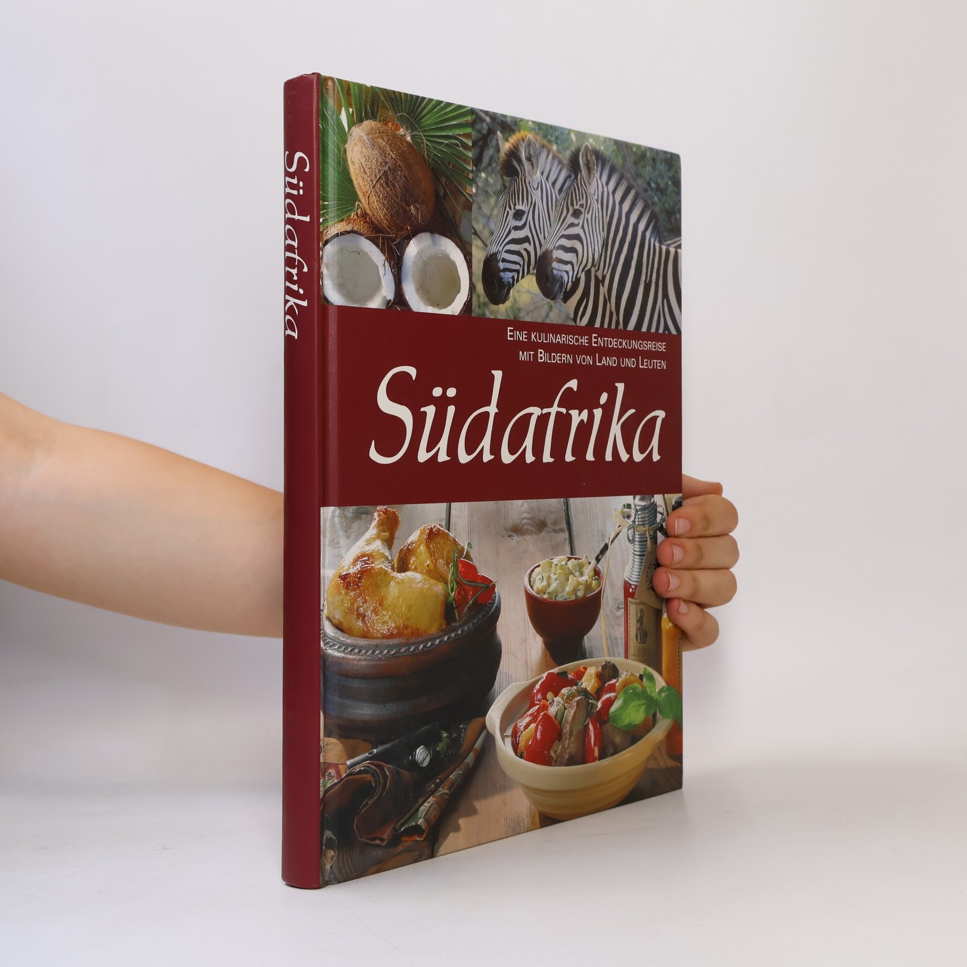 Kolektiv autorů Südafrika