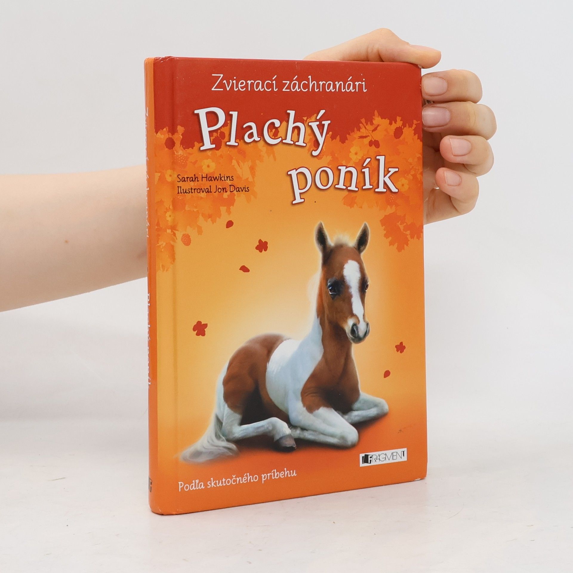 Plachý poník