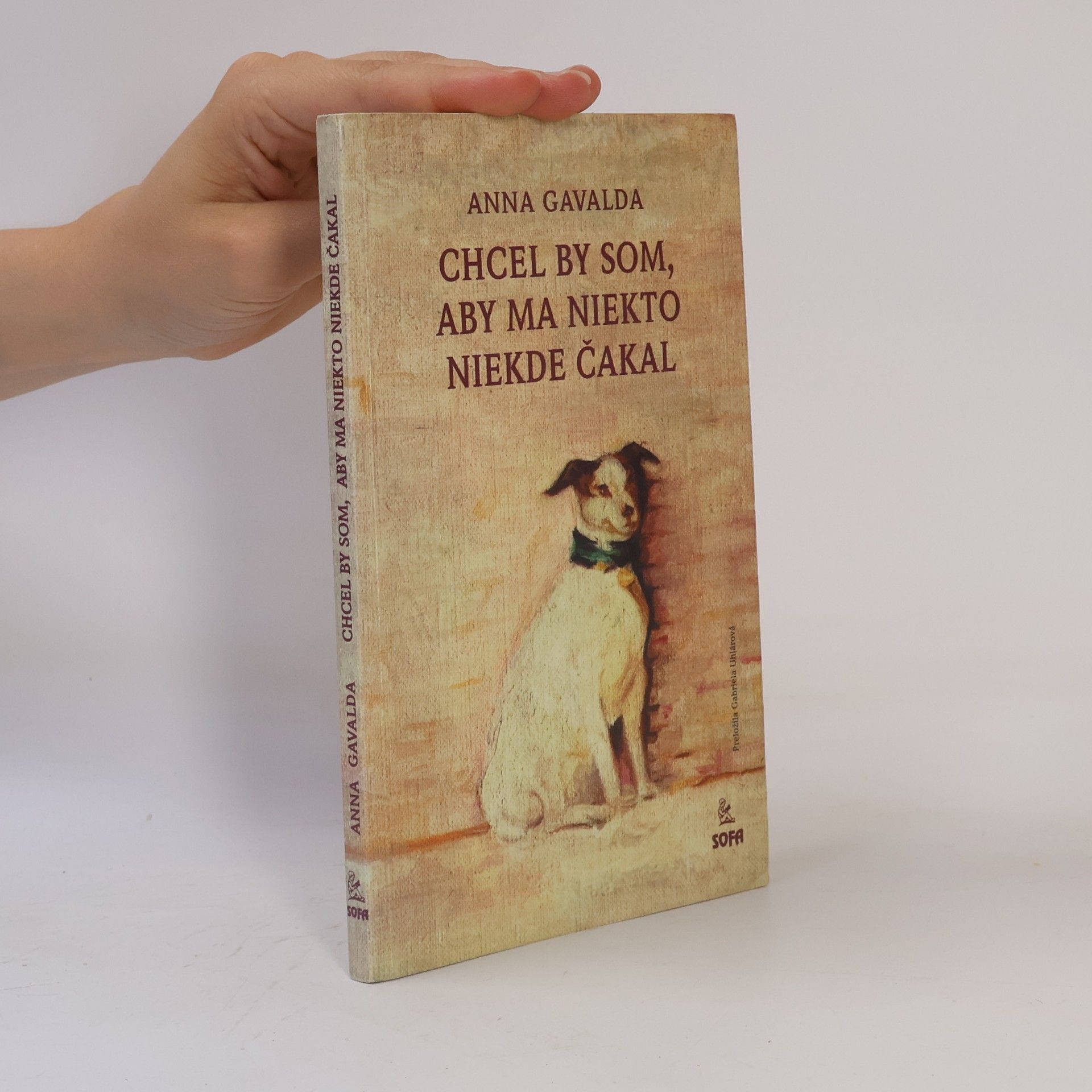 Anna Gavalda Chcel by som, aby na mňa niekto niekde čakal