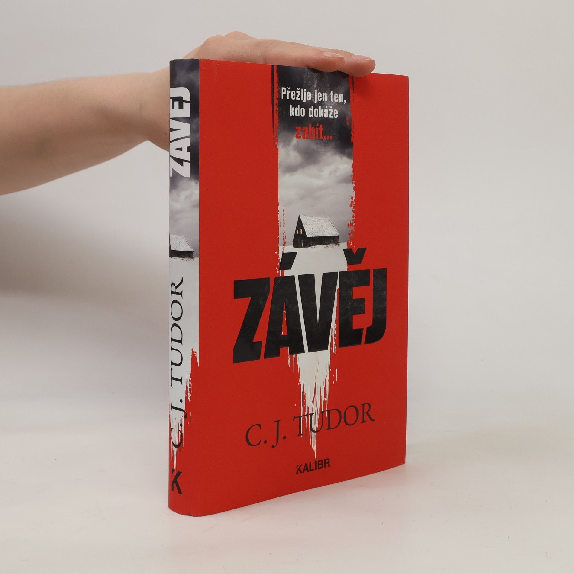Jana Kunová Závěj