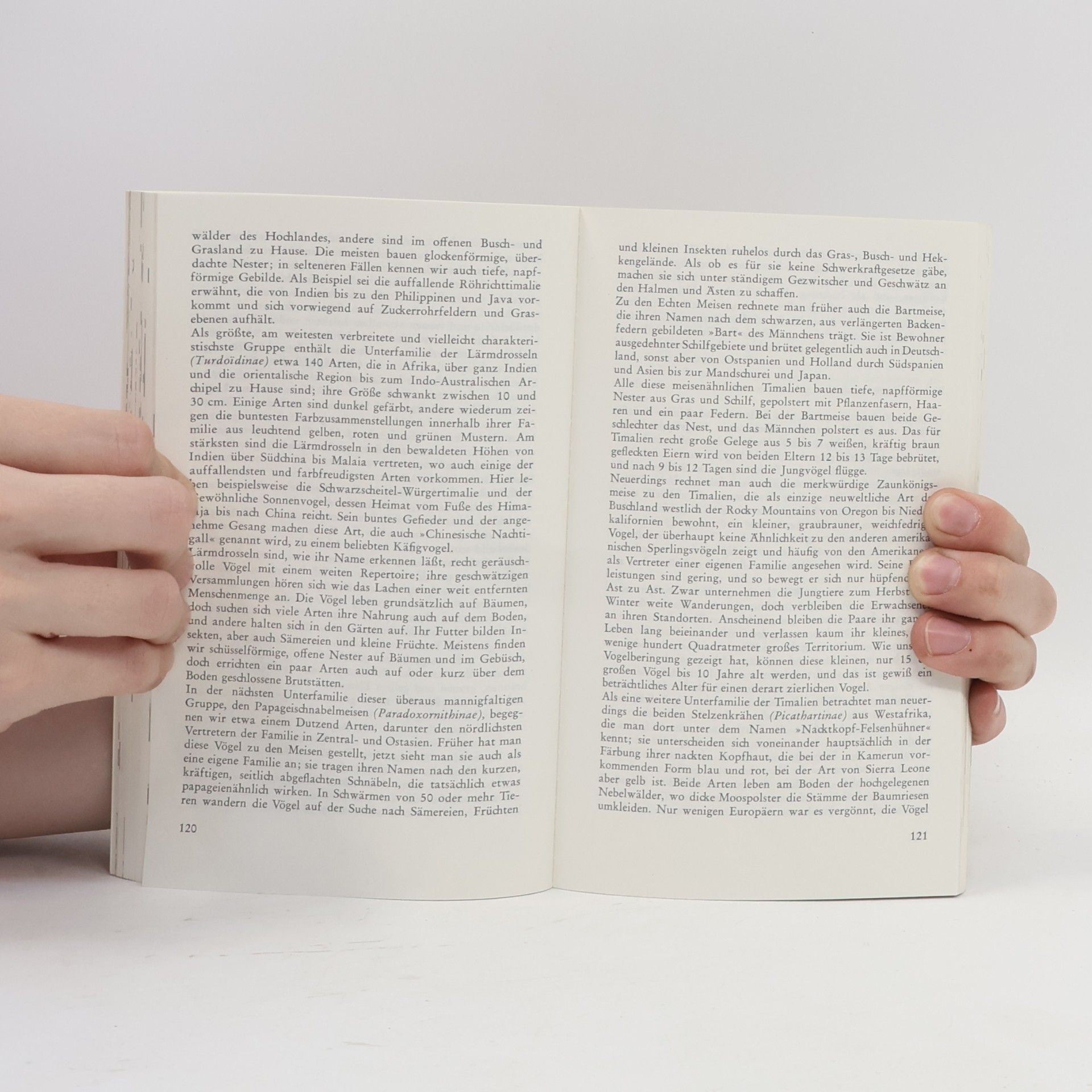 Oliver Luther Austin Knaur Taschenbücher: Knaurs Singvögel der Welt
