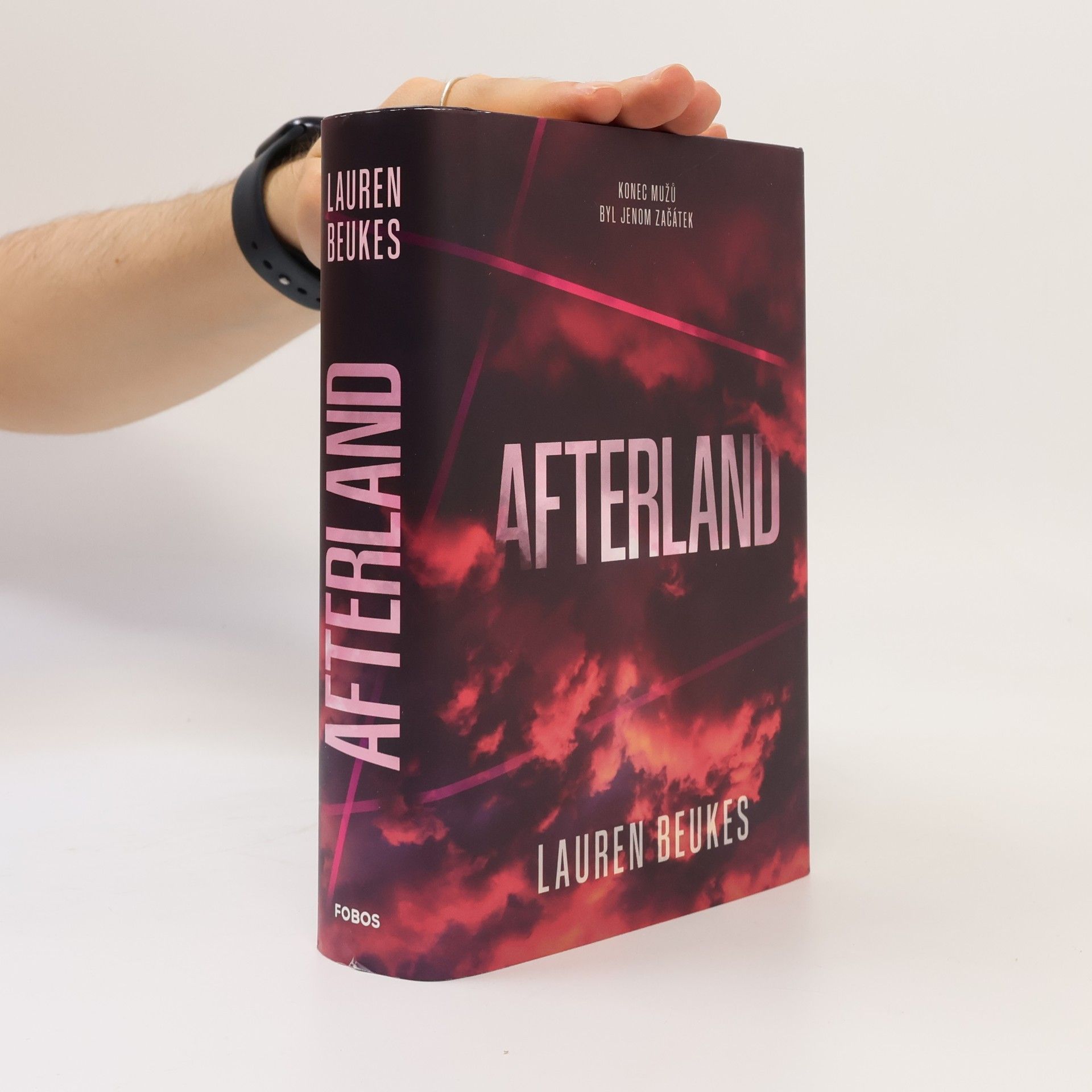 Lauren Beukes Afterland