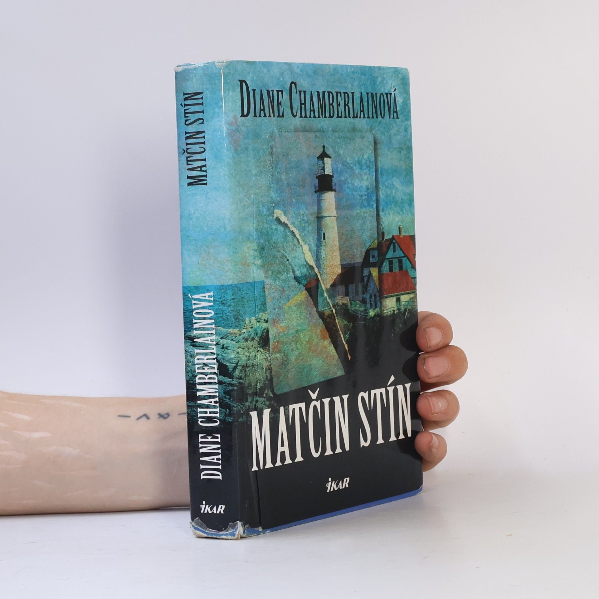 Diane Chamberlain Matčin stín