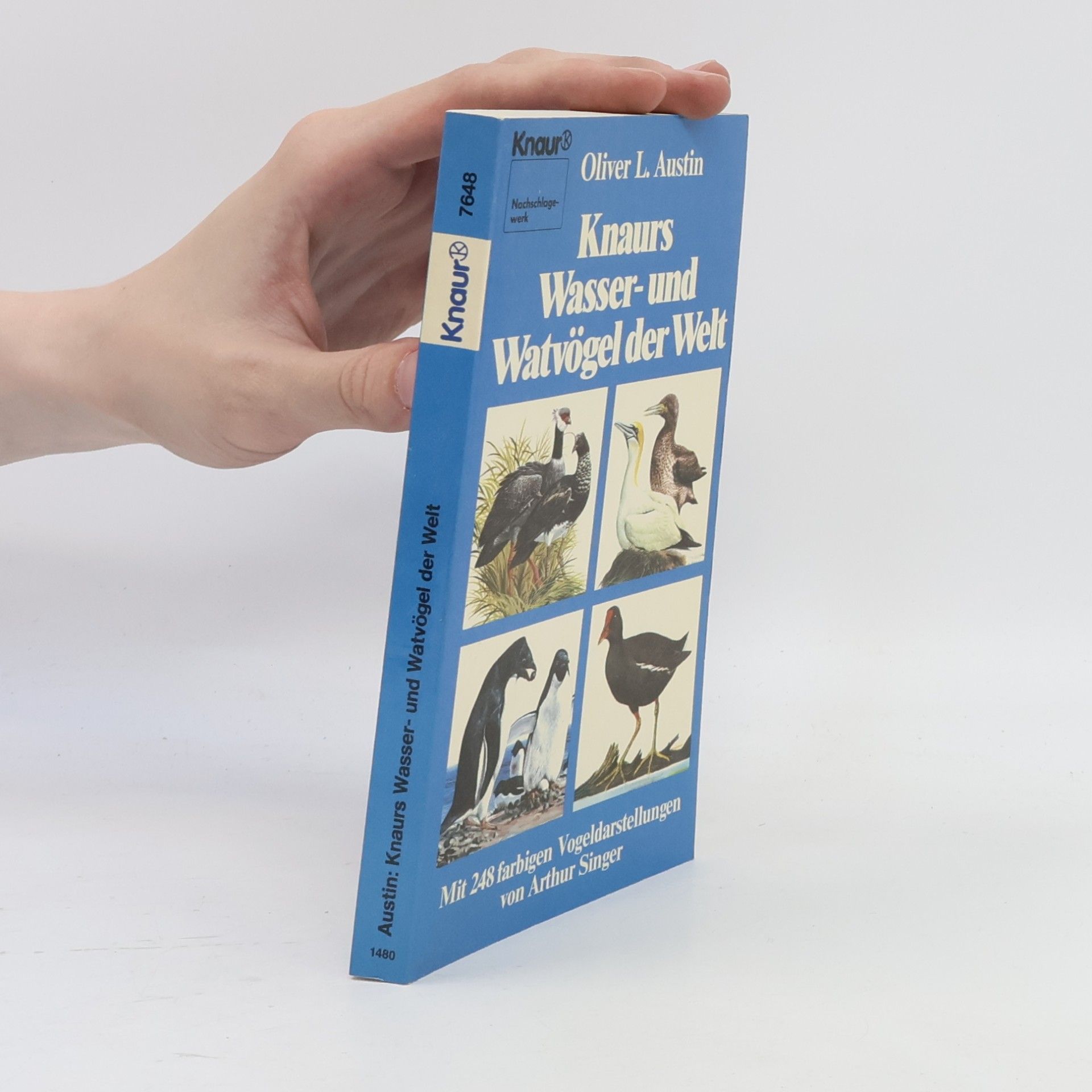 Oliver Luther Austin Knaurs Wasser- und Watvögel der Welt