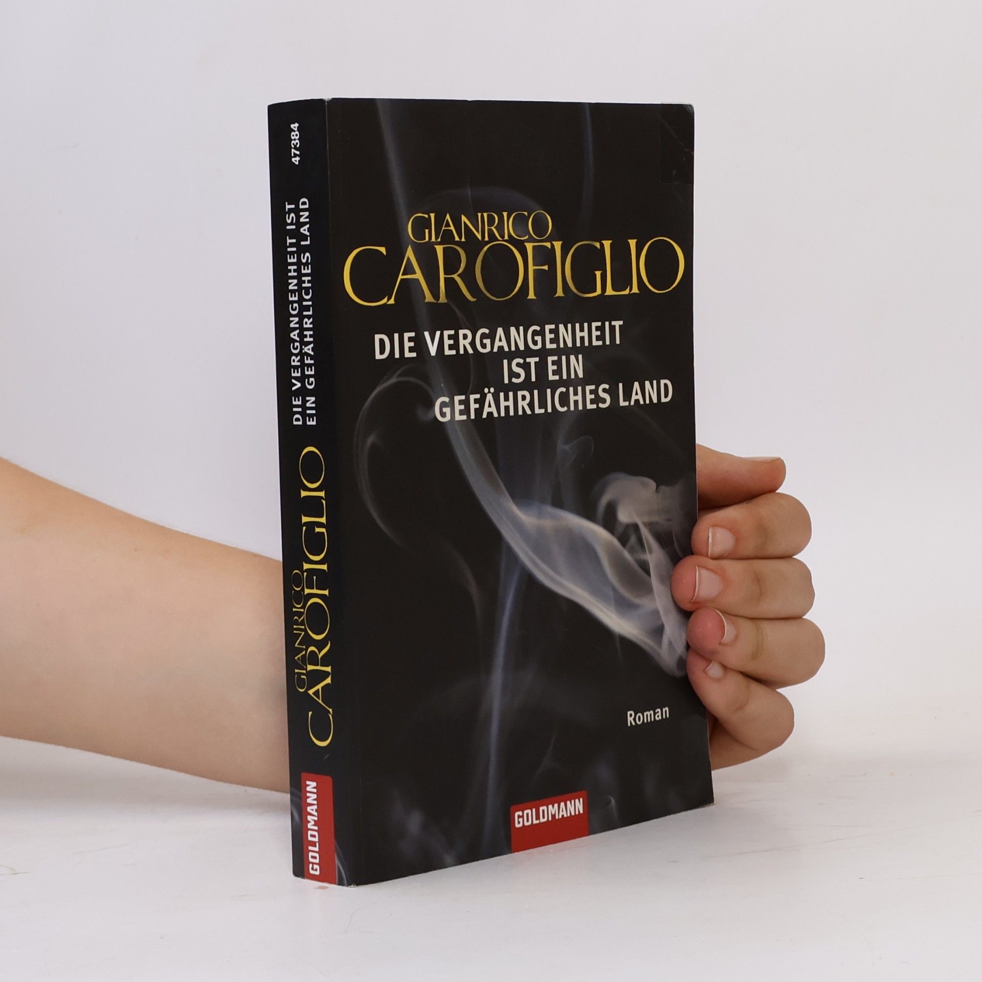 Gianrico Carofiglio Die Vergangenheit ist ein gefährliches Land