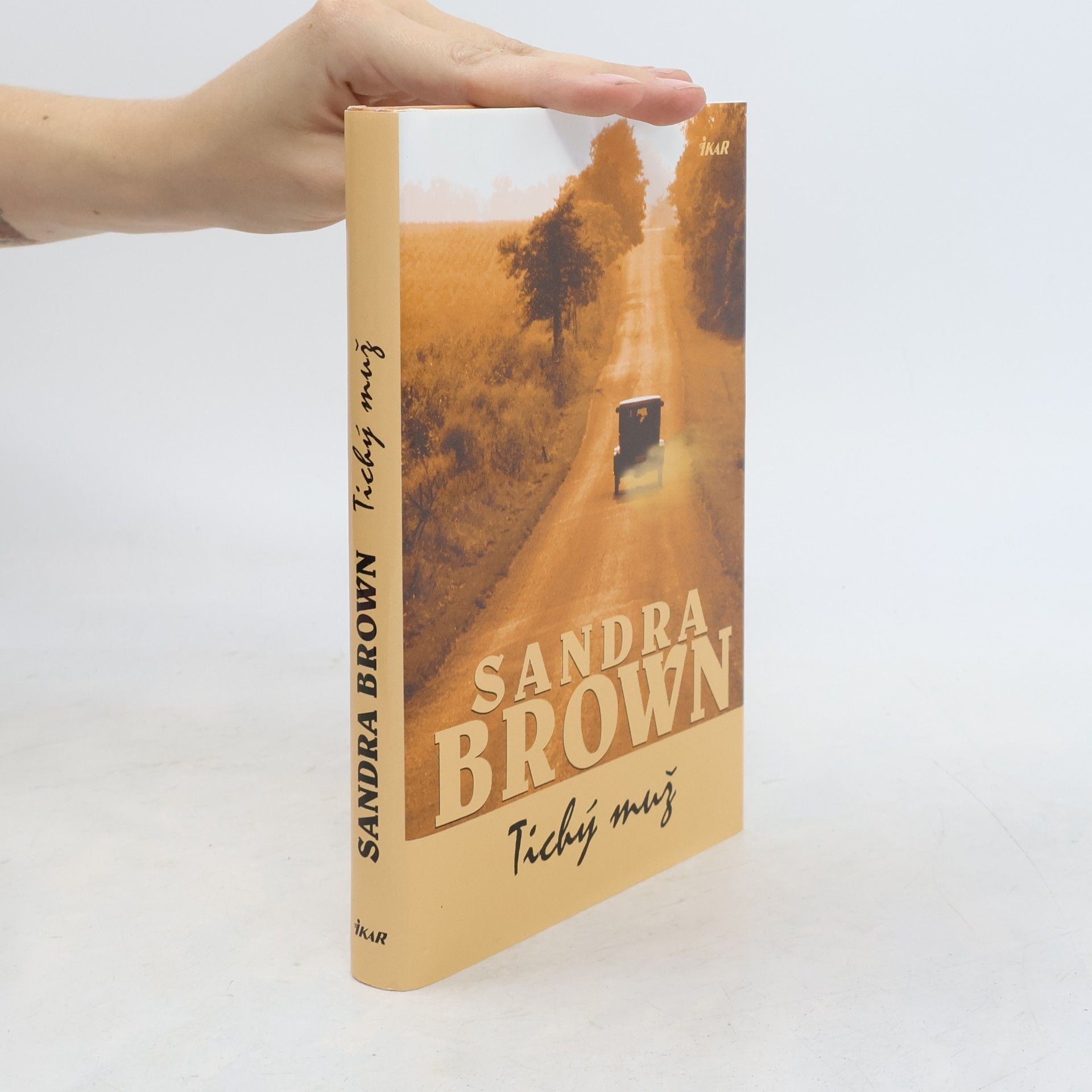 Sandra Brown Tichý muž