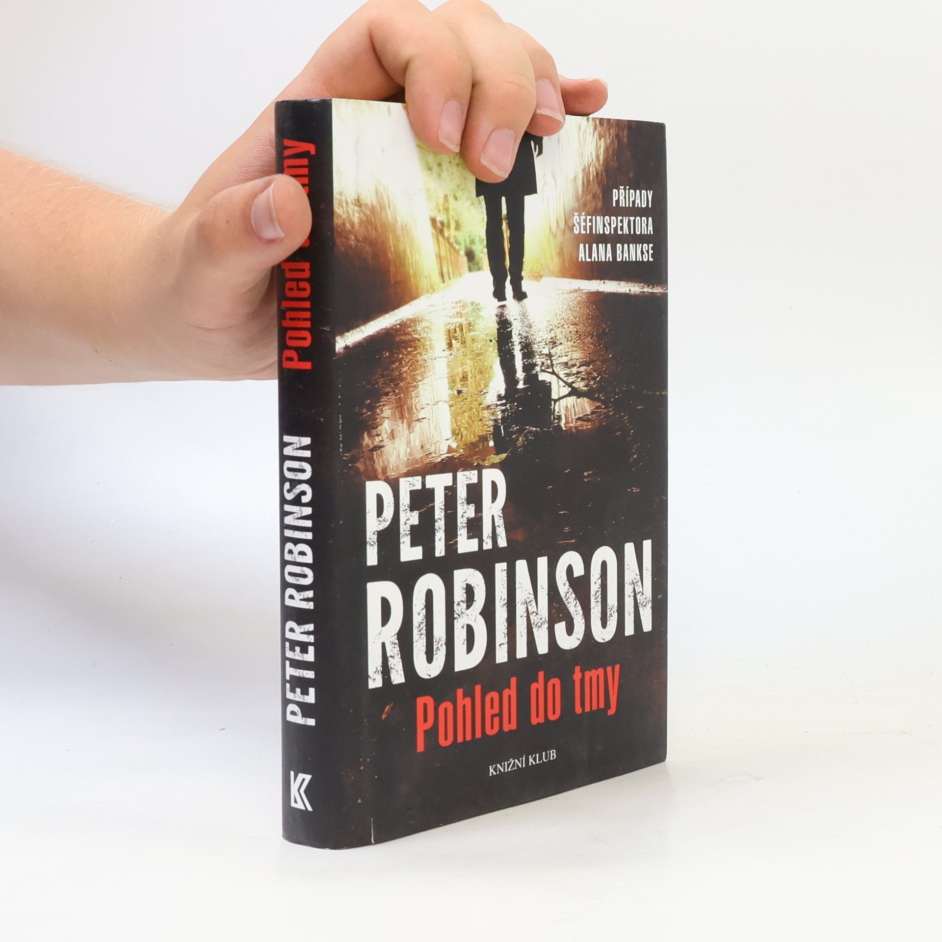 Peter Robinson Pohled do tmy