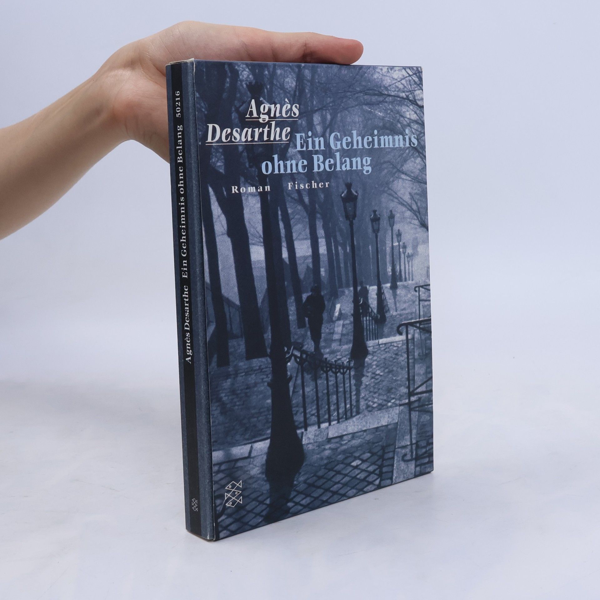 Agnès Desarthe Ein Geheimnis ohne Belang
