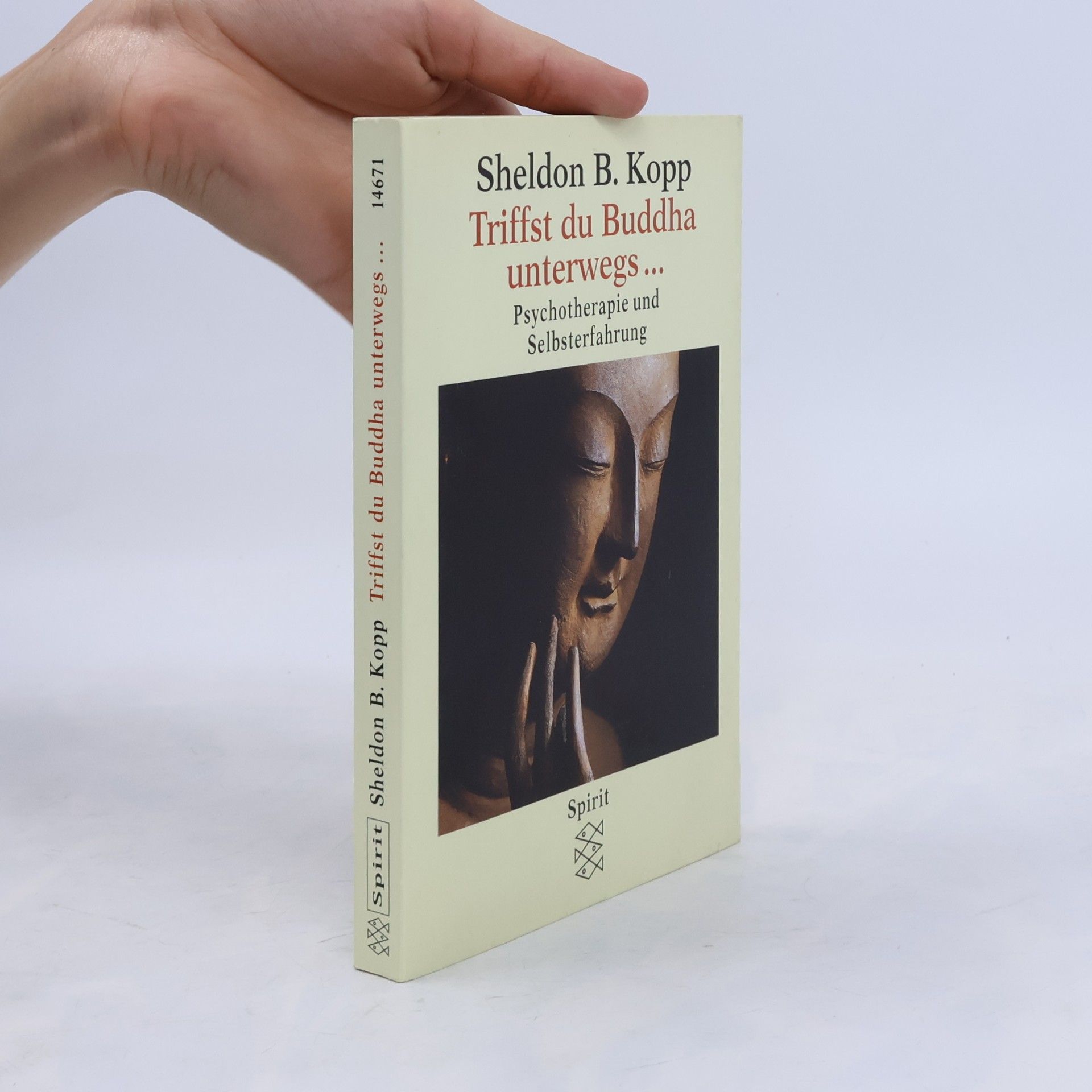 Sheldon Kopp Triffst du Buddha unterwegs ...