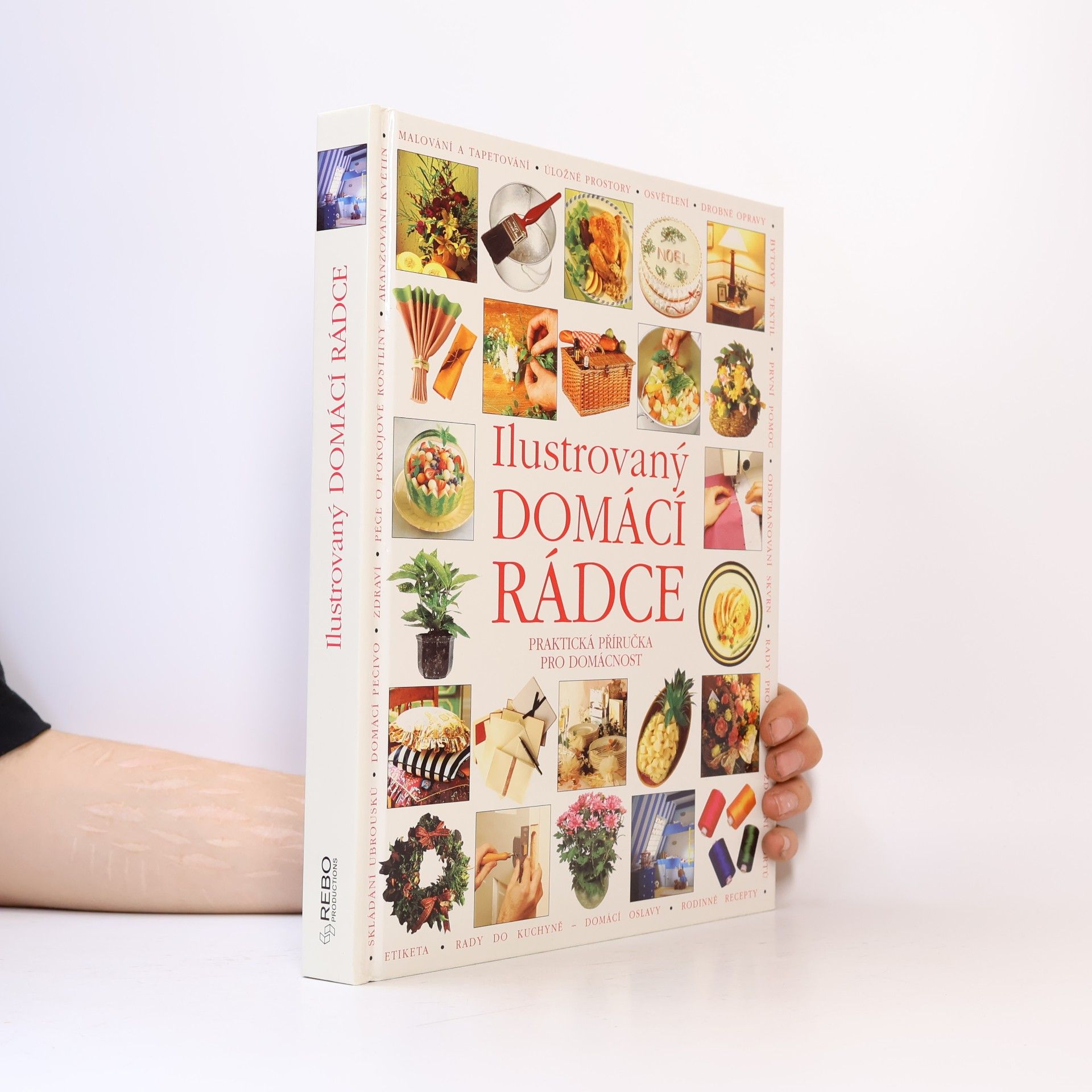 Dana Vaněčková Ilustrovaný domácí rádce