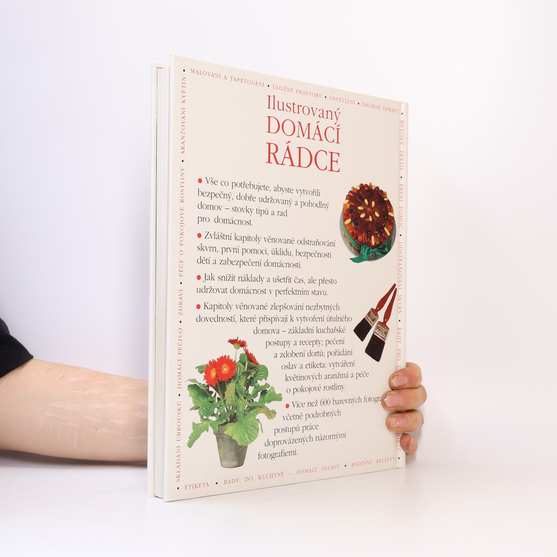 Dana Vaněčková Ilustrovaný domácí rádce