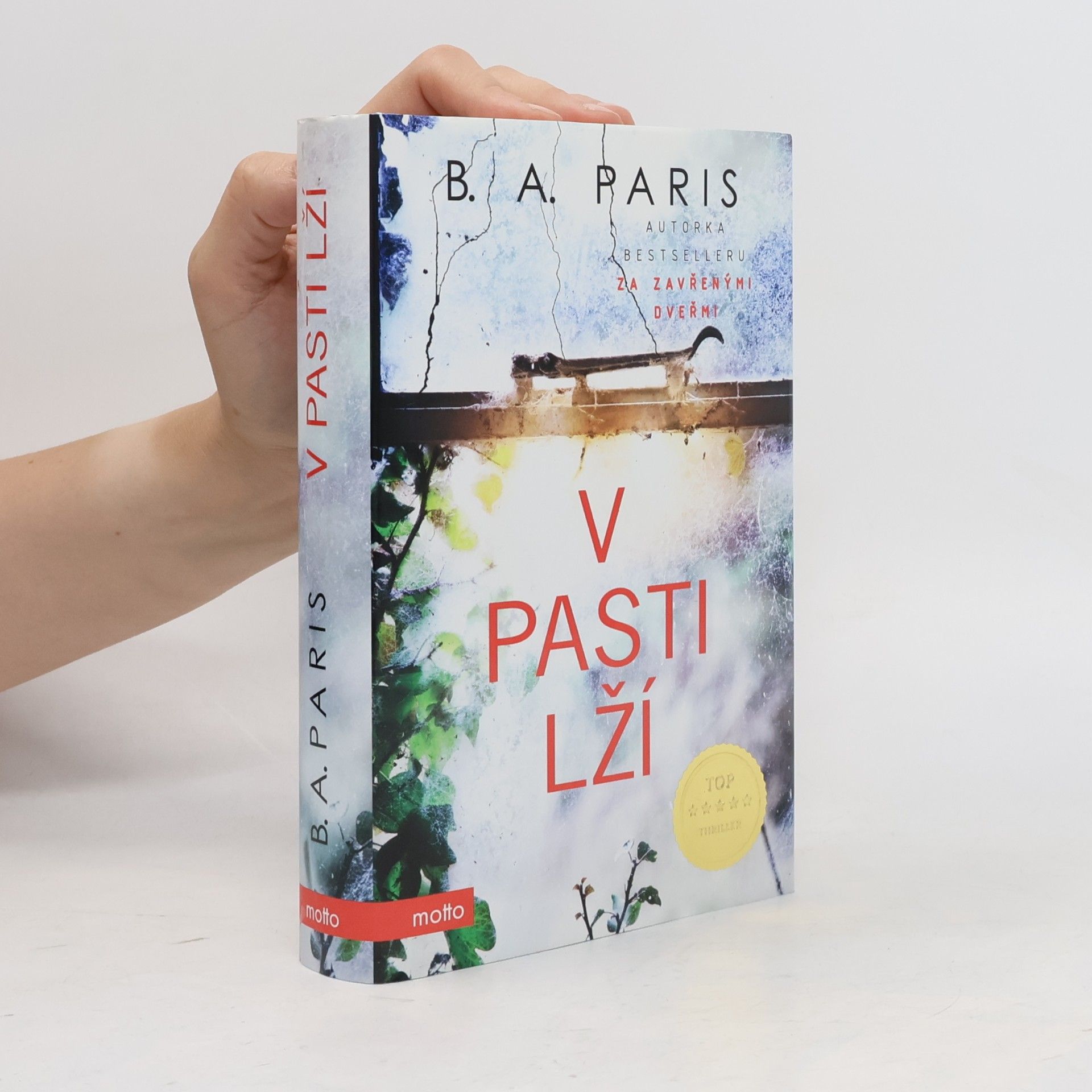 B.A. Paris V pasti lží