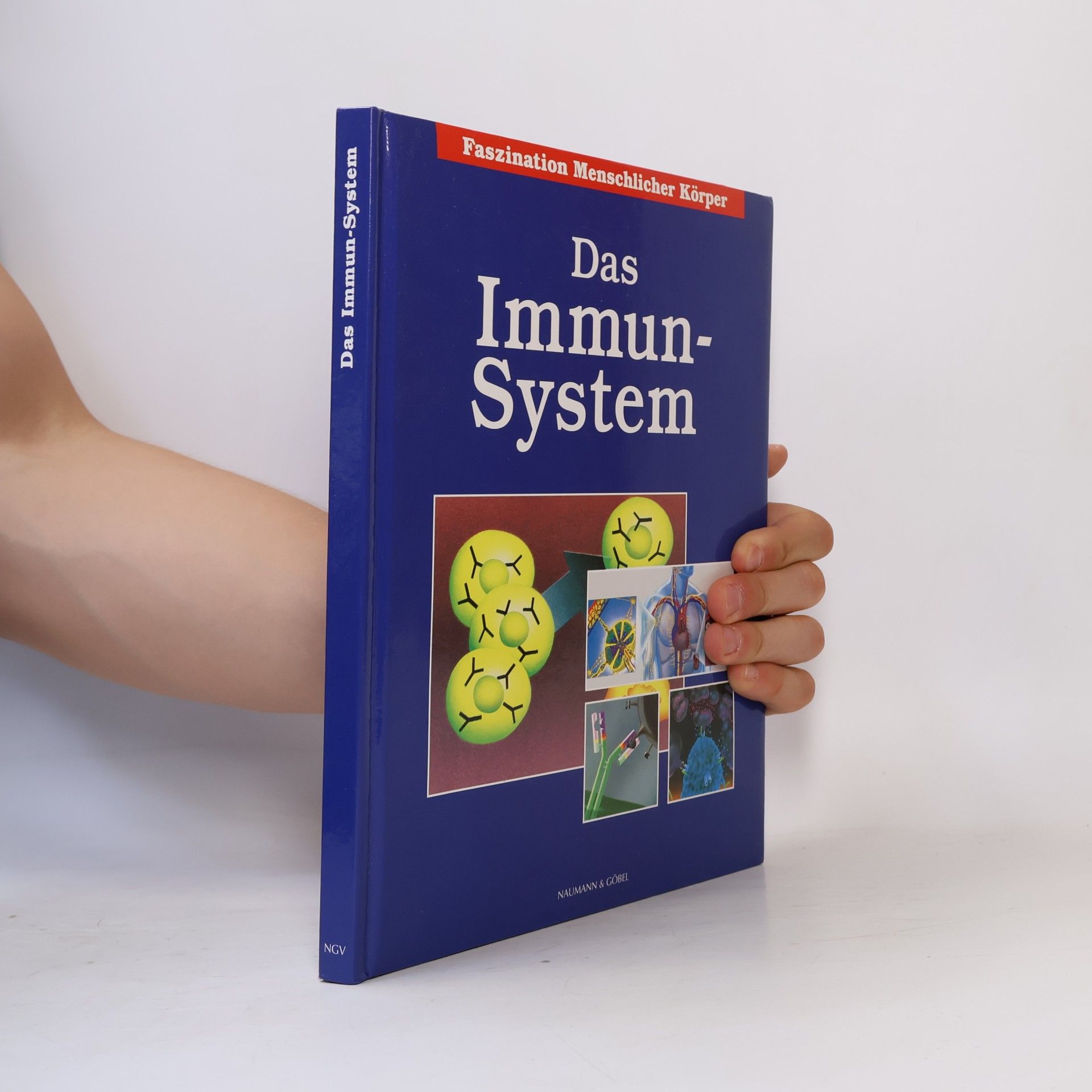 Autorenkollektiv Das Immun-System