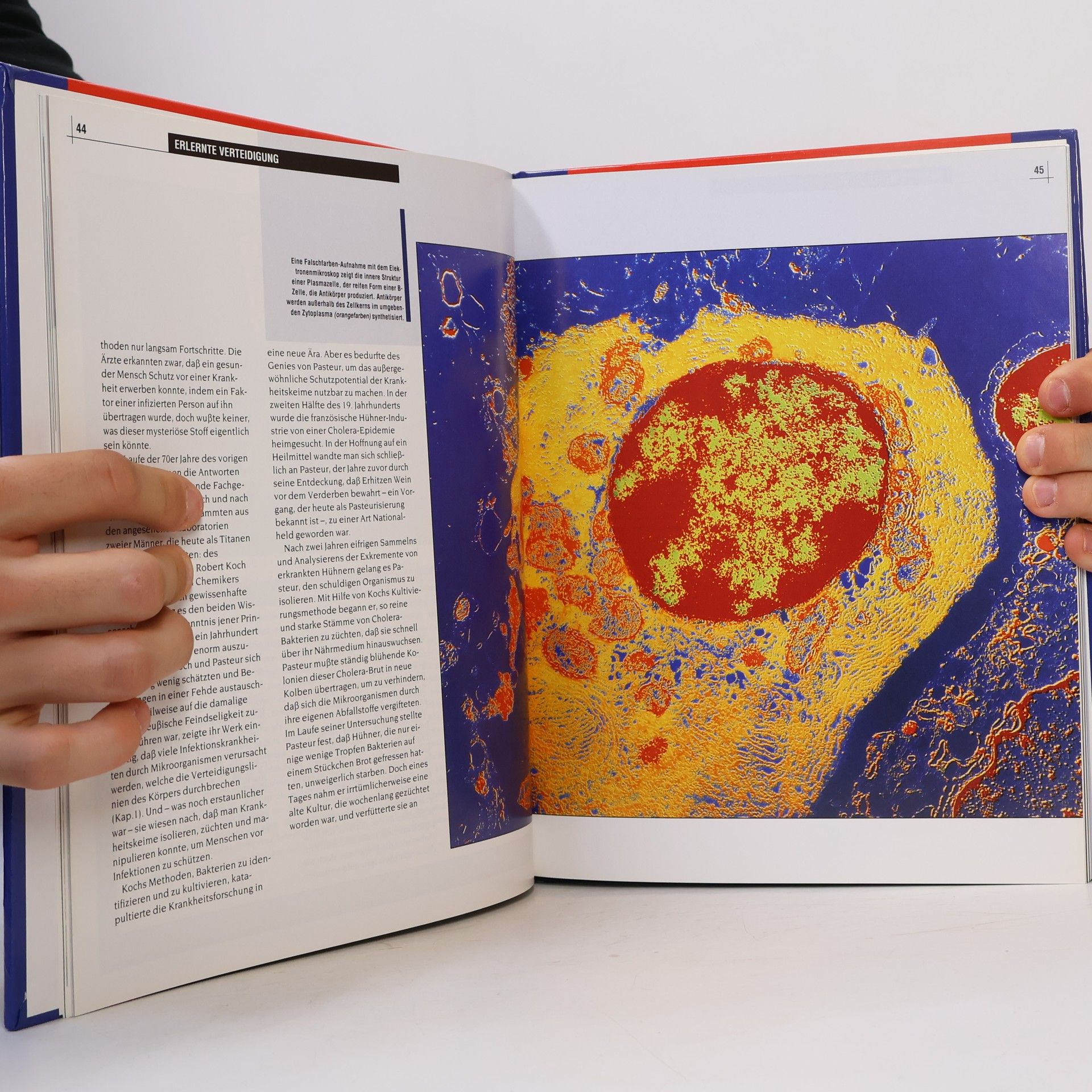 Various authors Das Immun-System