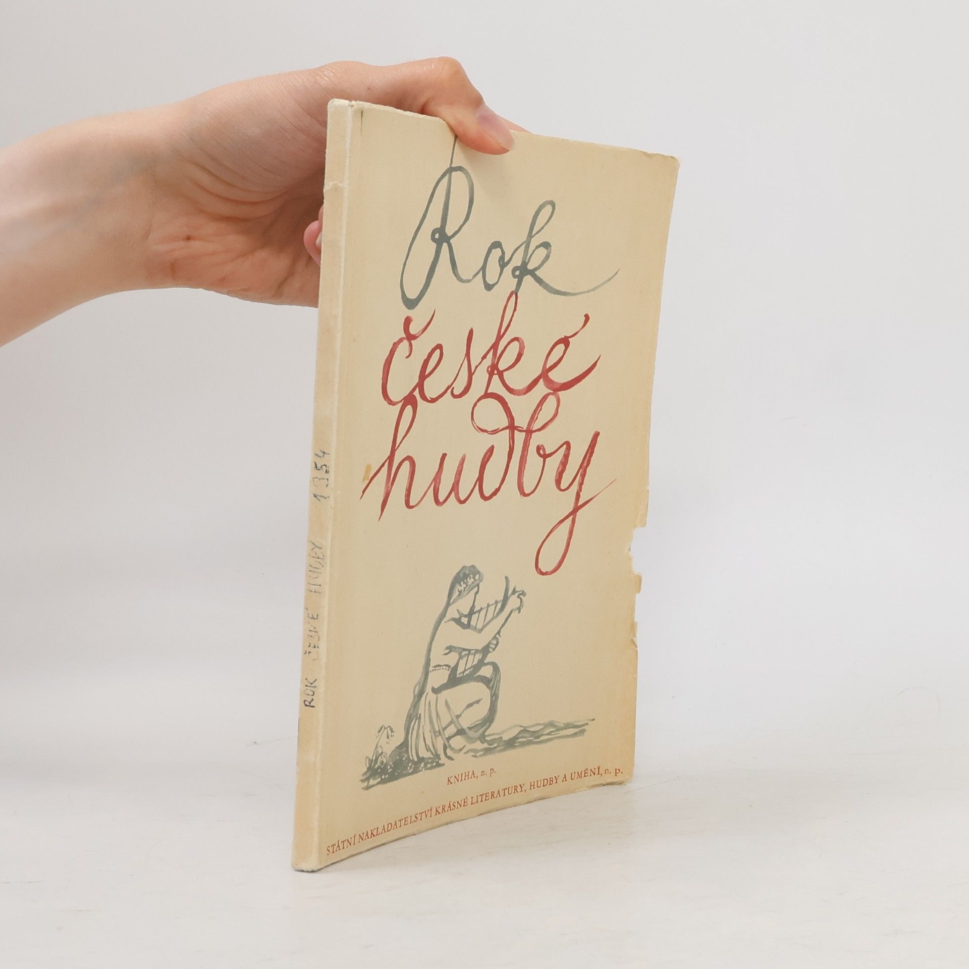 Kolektiv autorů Rok české hudby