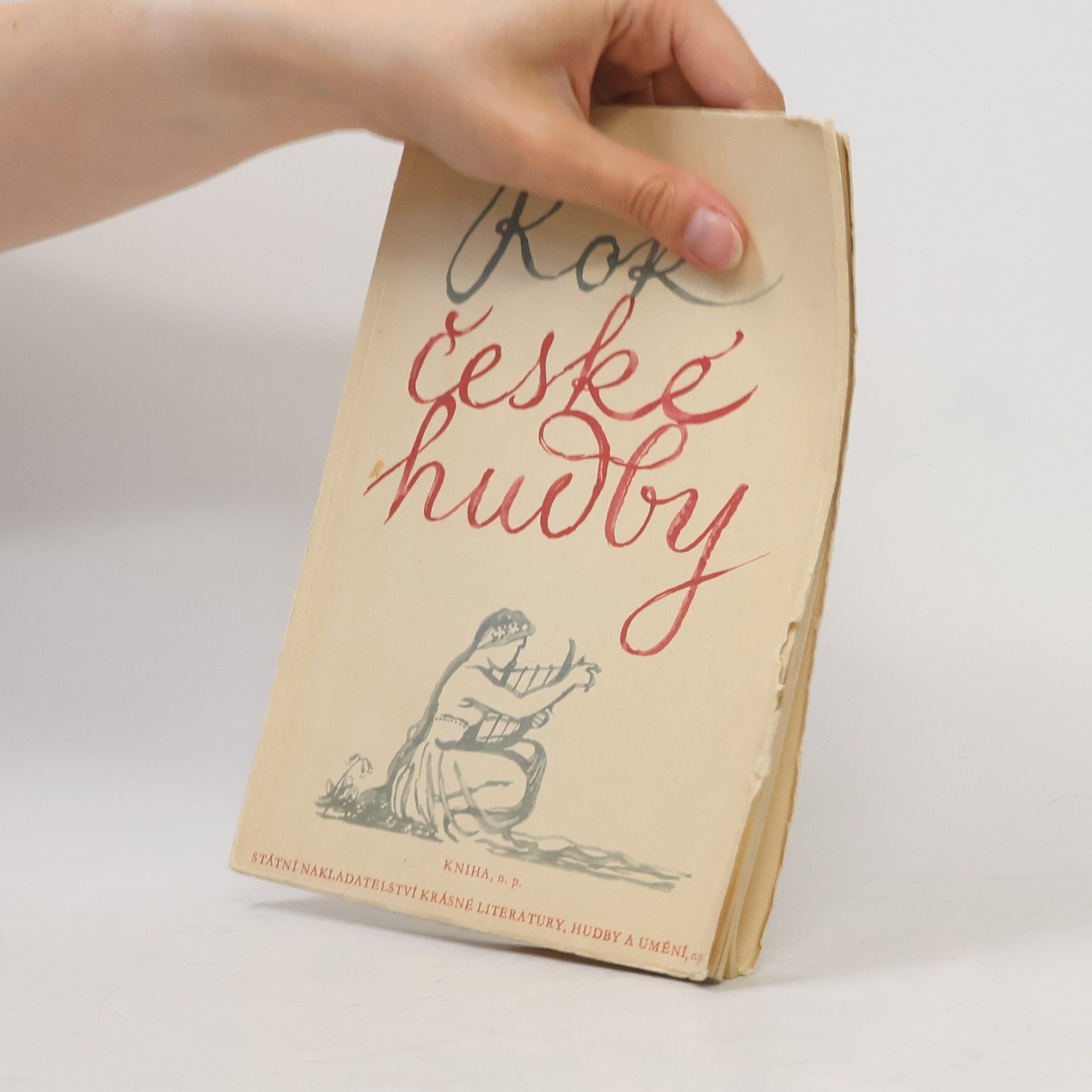 Kolektiv autorů Rok české hudby