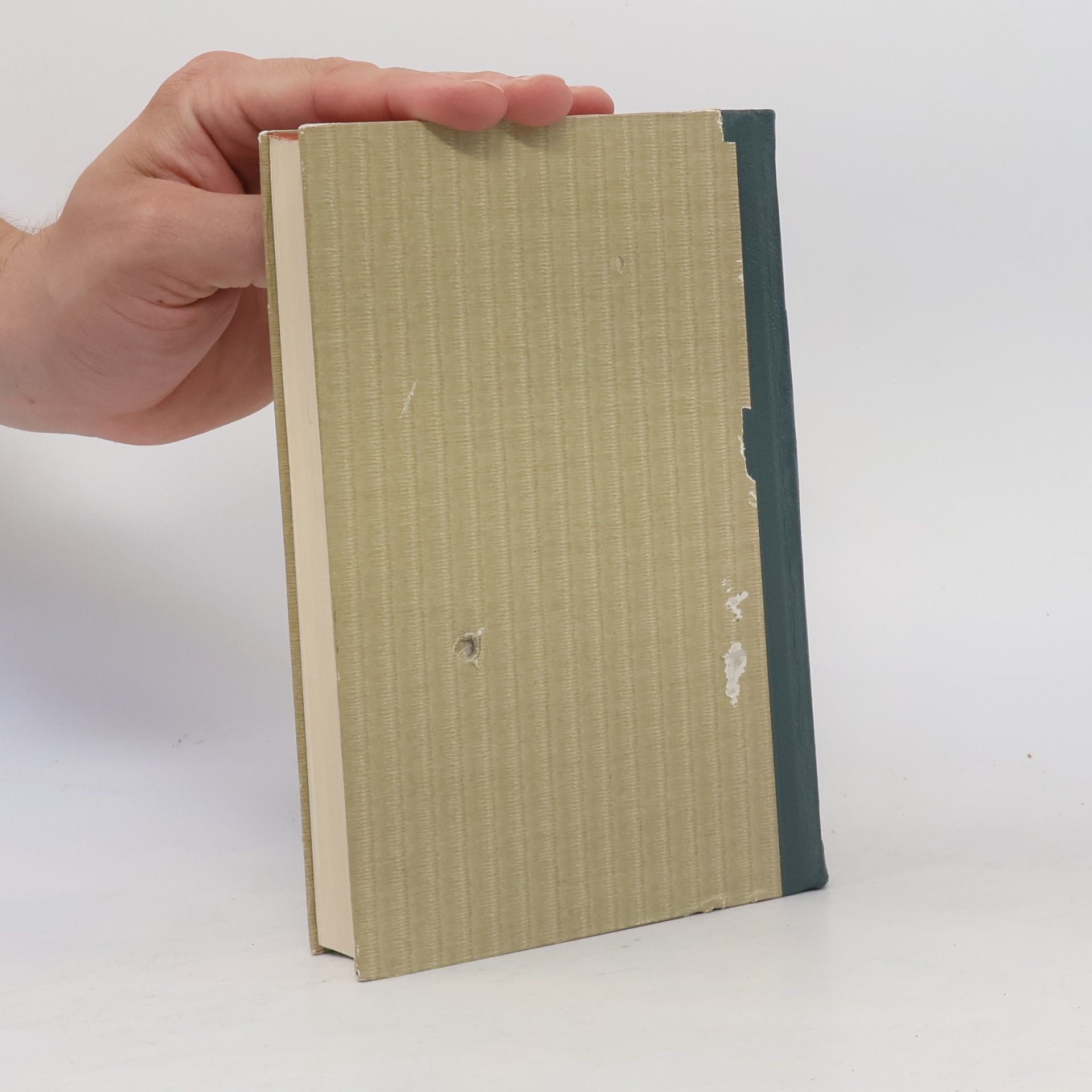 Thomas Mann Meister-Novellen