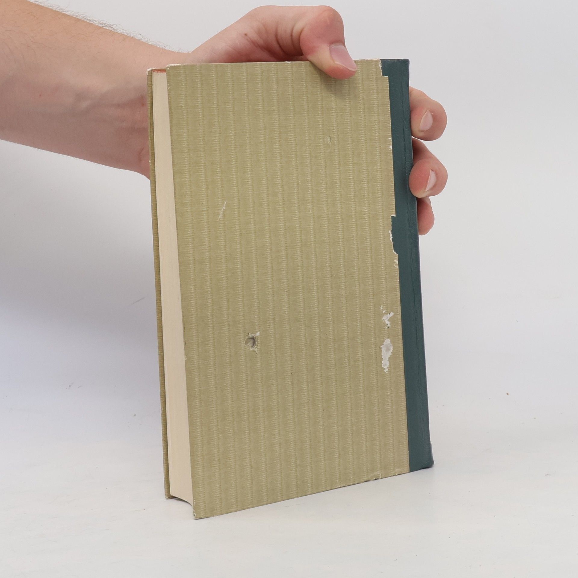 Thomas Mann Meister-Novellen