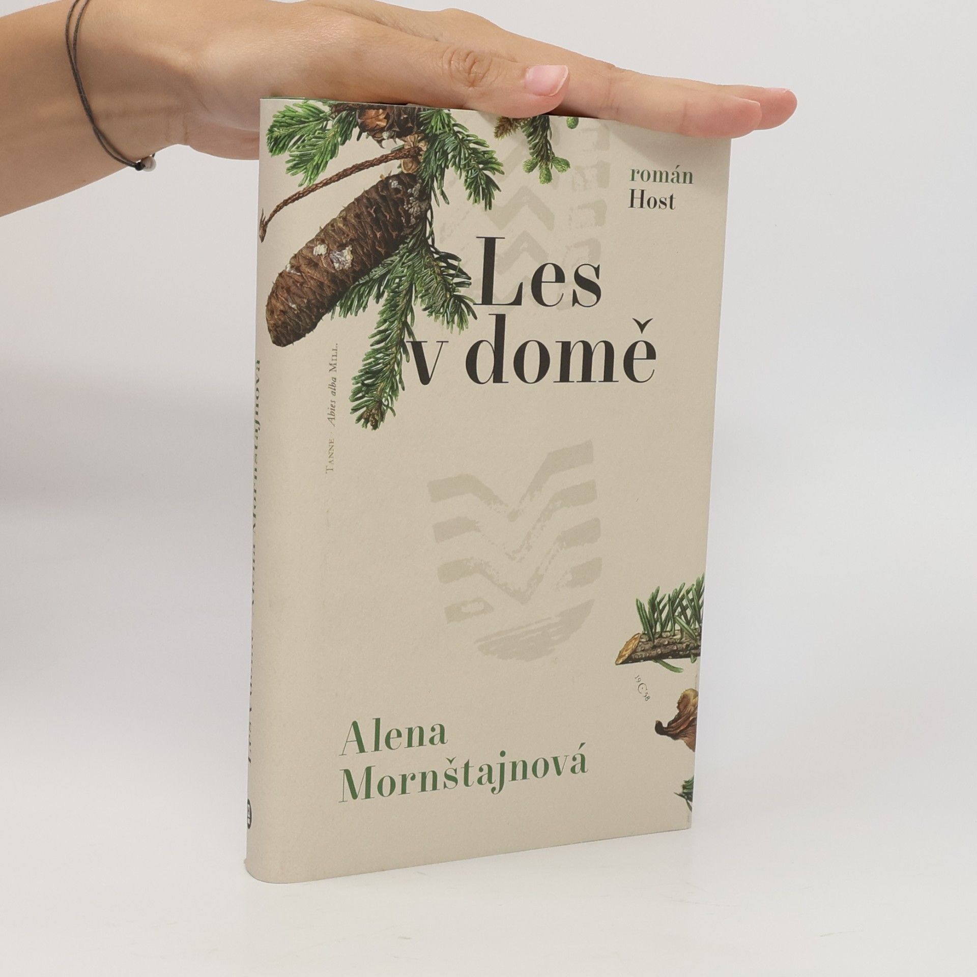Alena Mornštajnová Les v domě