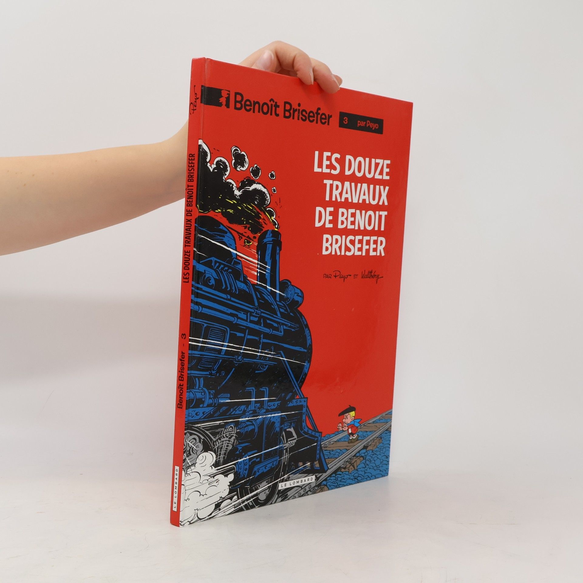 Les douze travaux de Benoît Brisefer