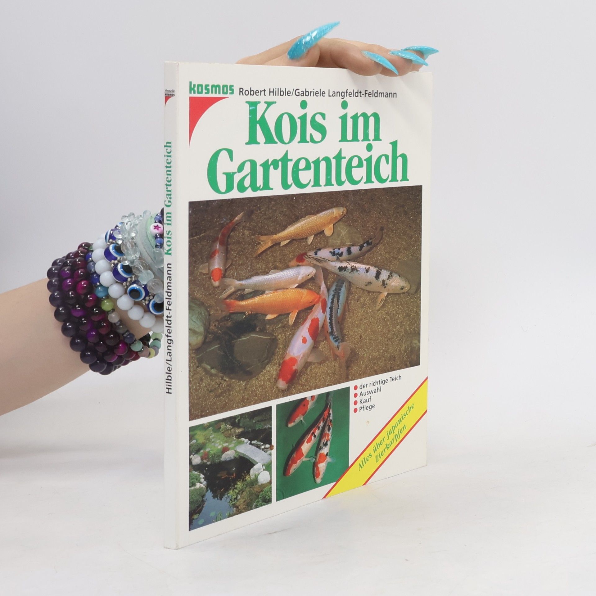 Kois im Gartenteich