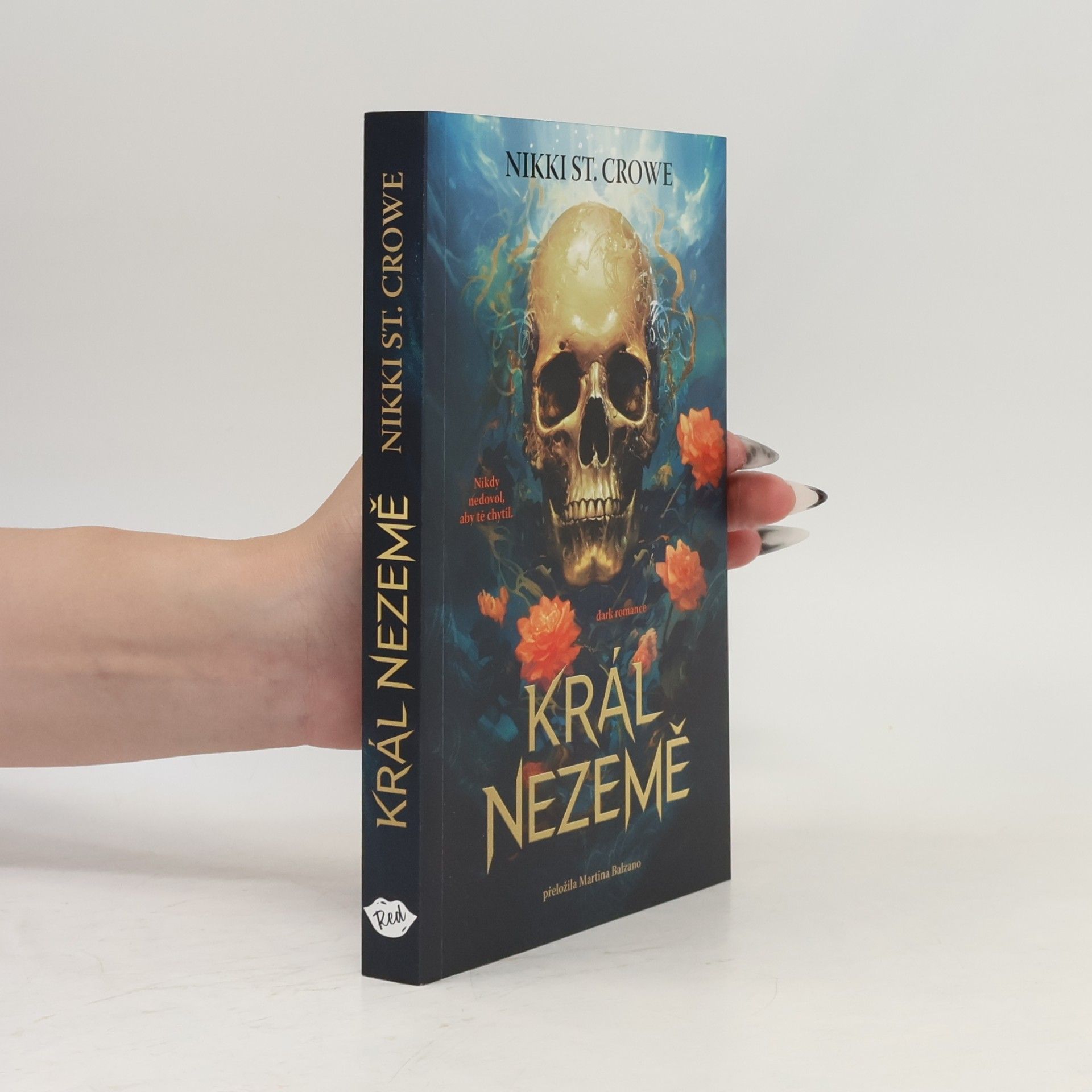 Král Nezemě