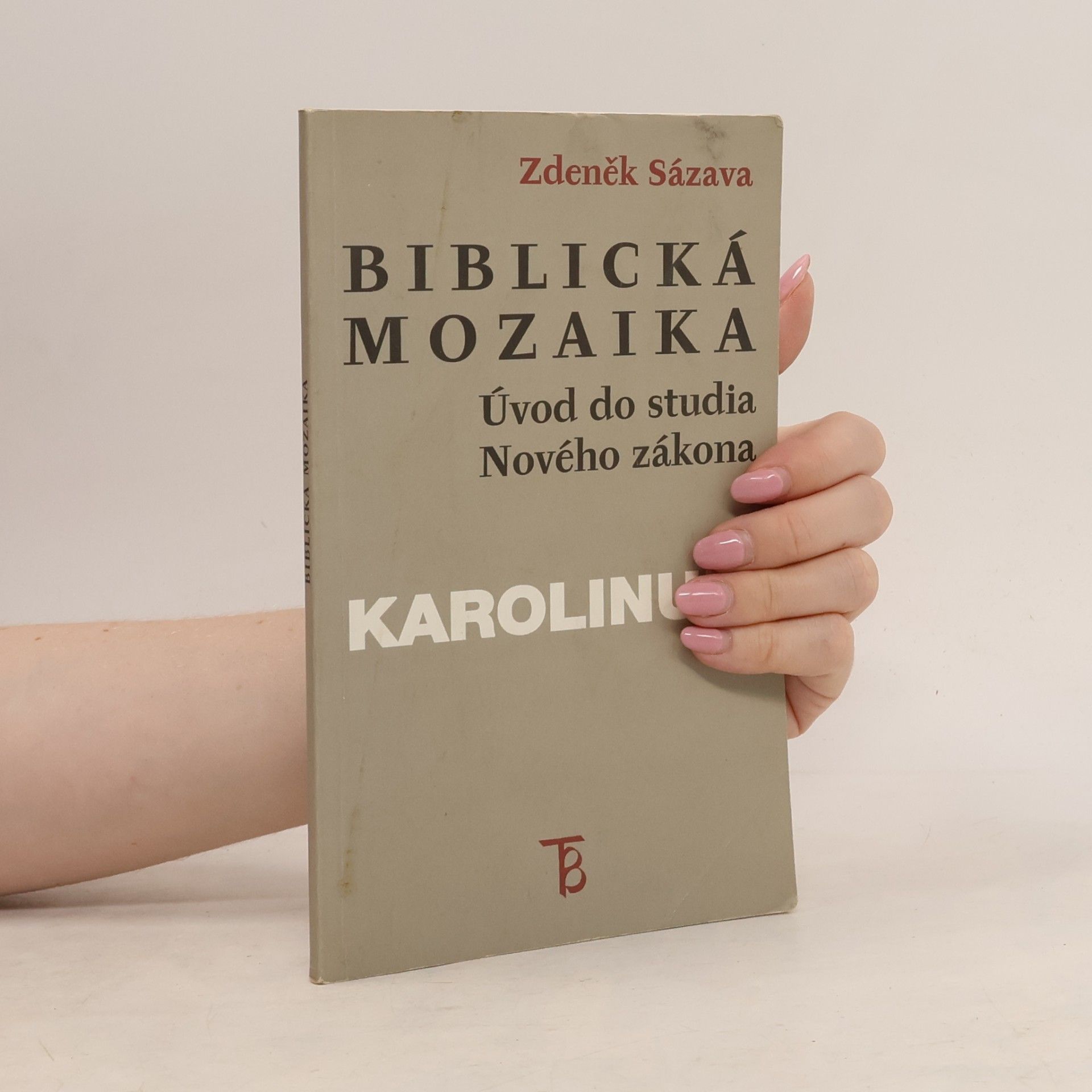 Zdeněk Sázava Biblická mozaika