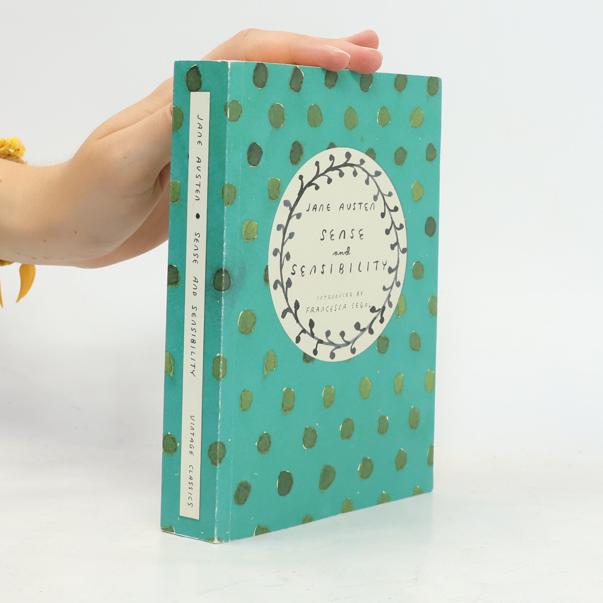 Jane Austen Sense and Sensibility