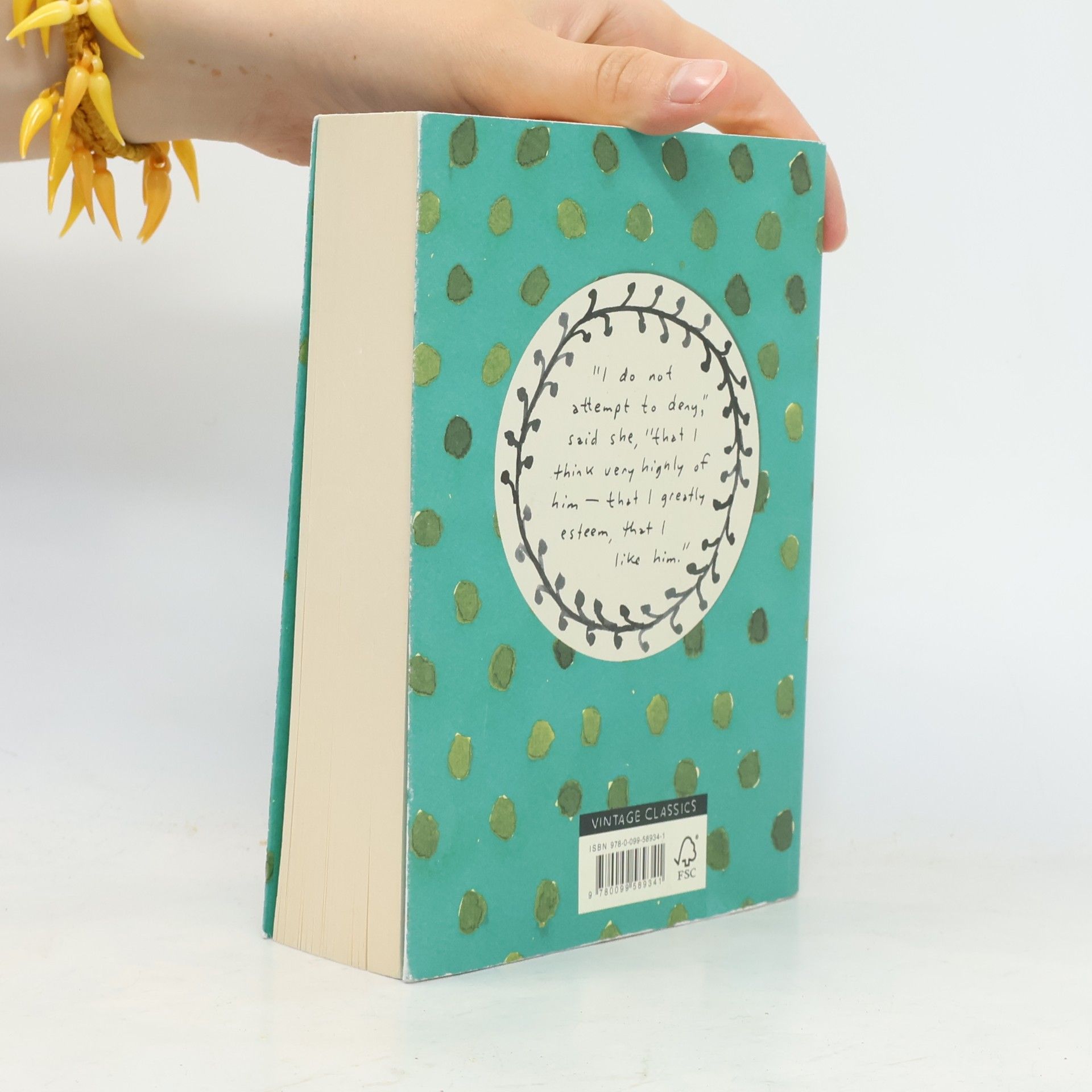 Jane Austen Sense and Sensibility