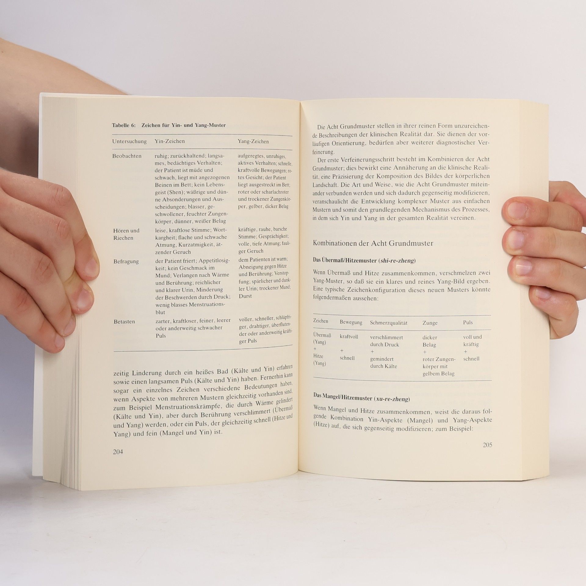 Ted Kaptchuk Das große Buch der chinesischen Medizin