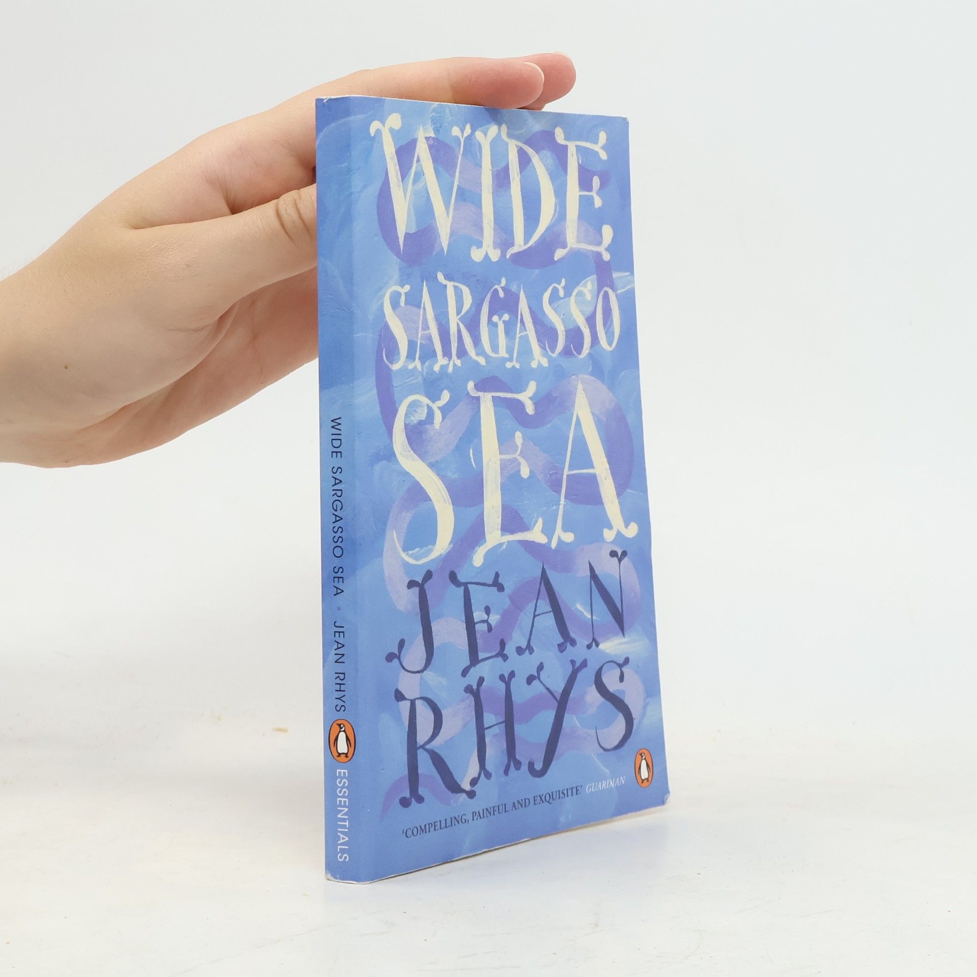Jean Rhys Wide Sargasso Sea