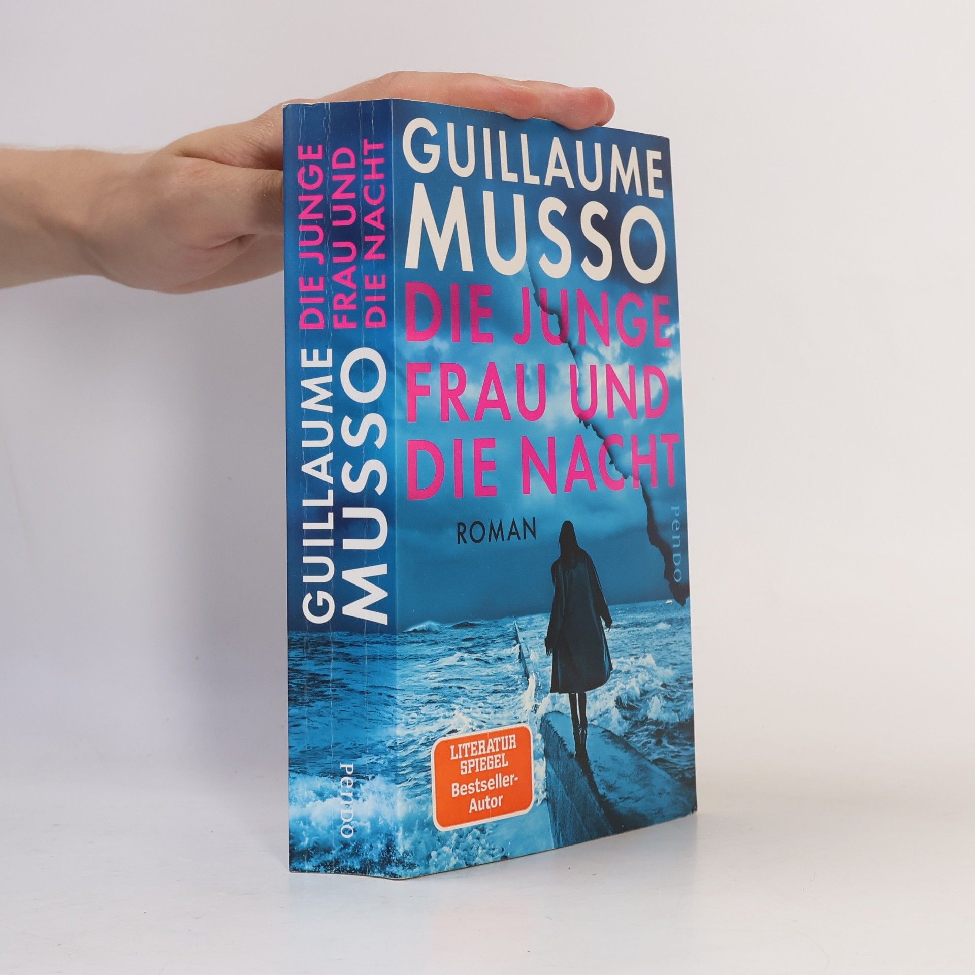 Guillaume Musso Die junge Frau und die Nacht