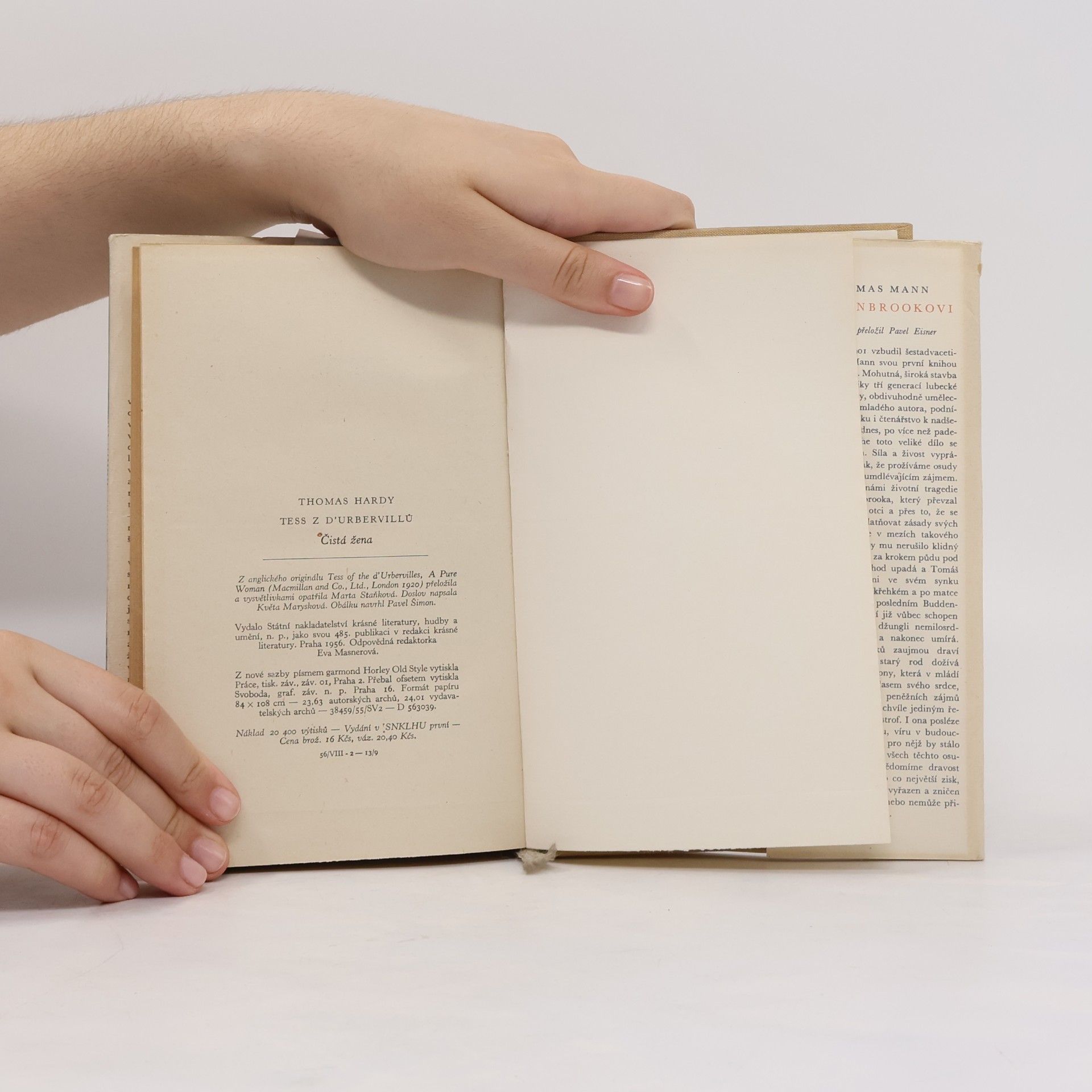 Thomas Hardy Tess z D'Urbervillů