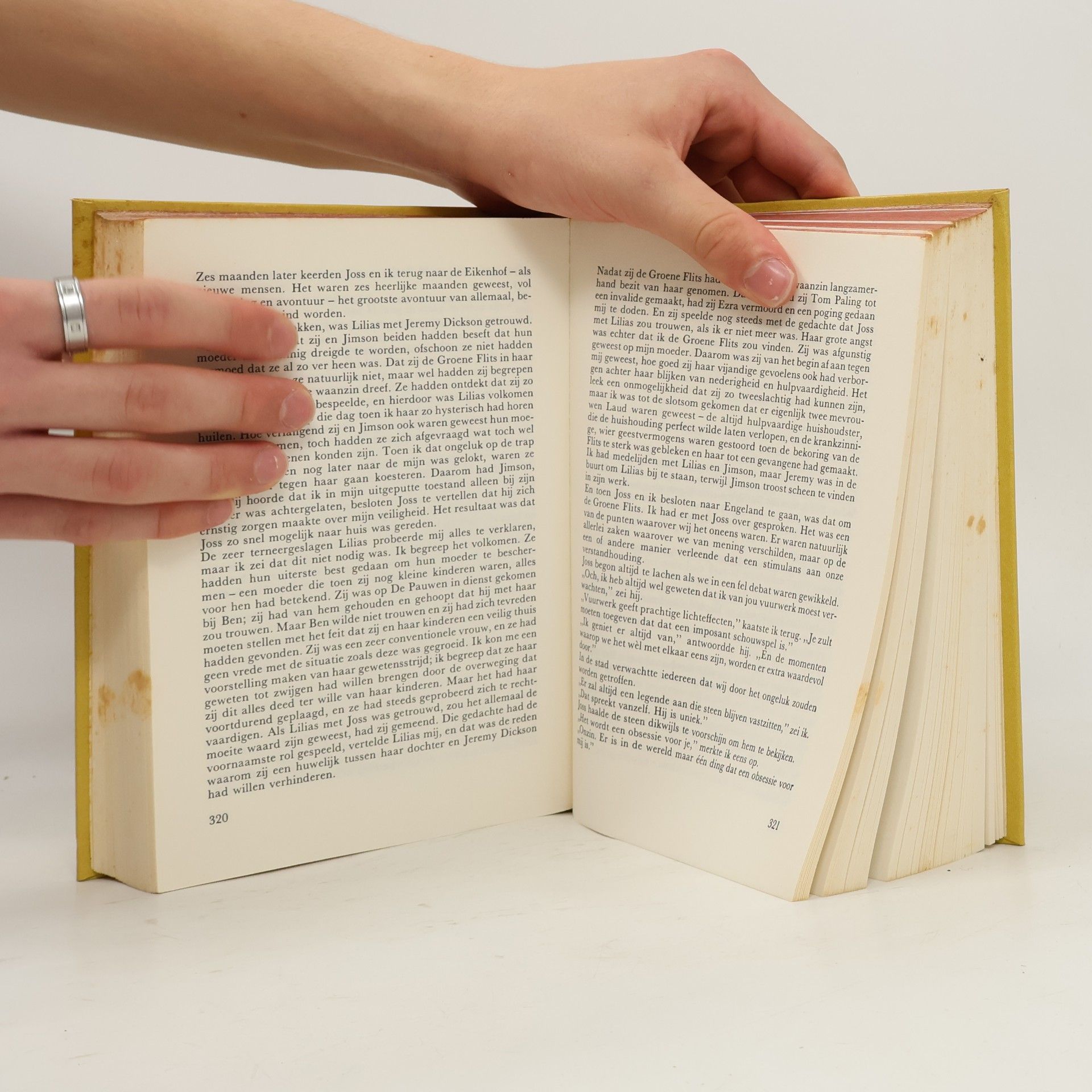 Various authors De geheimzinnige echtgenoot. Een liefde in Frankrijk