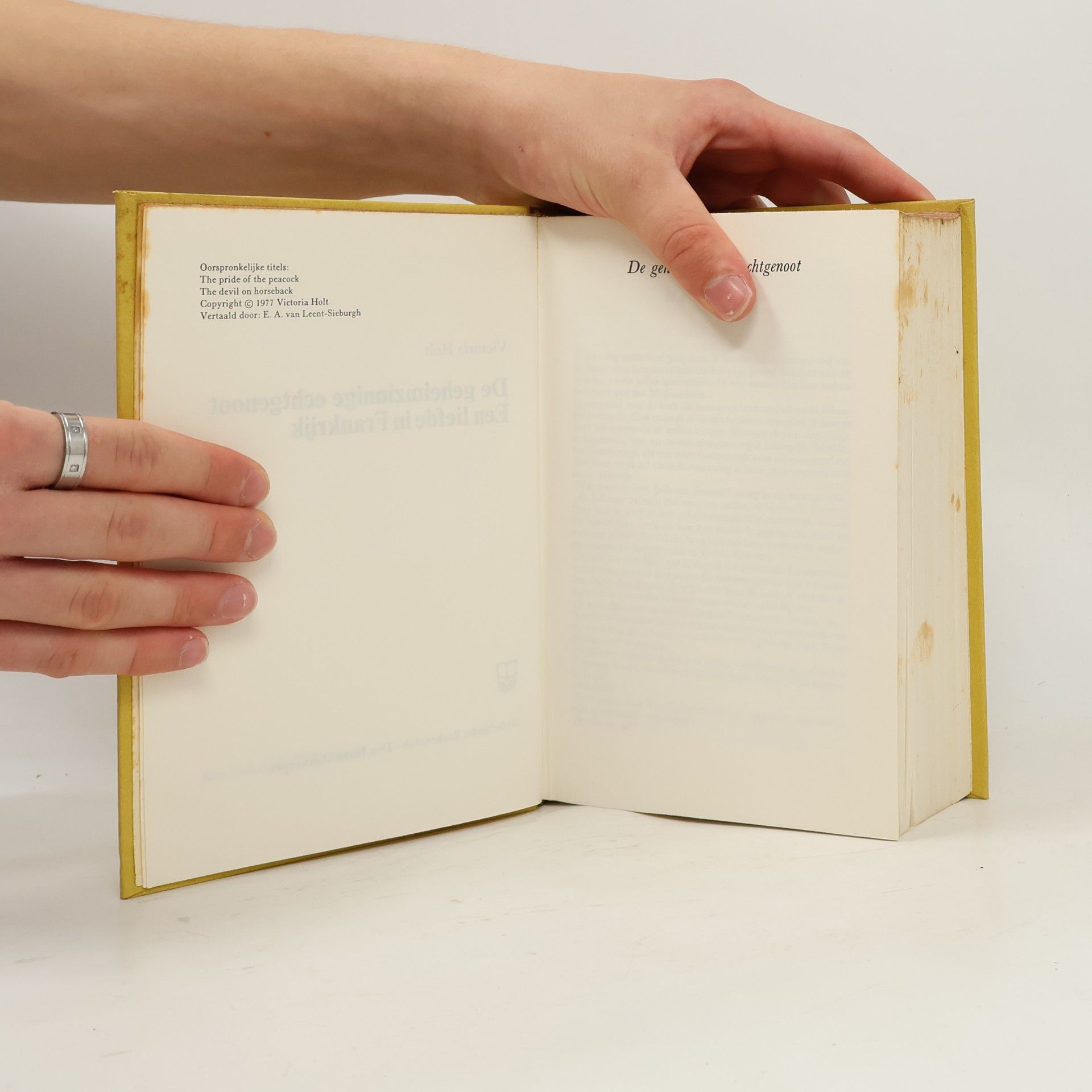Various authors De geheimzinnige echtgenoot. Een liefde in Frankrijk