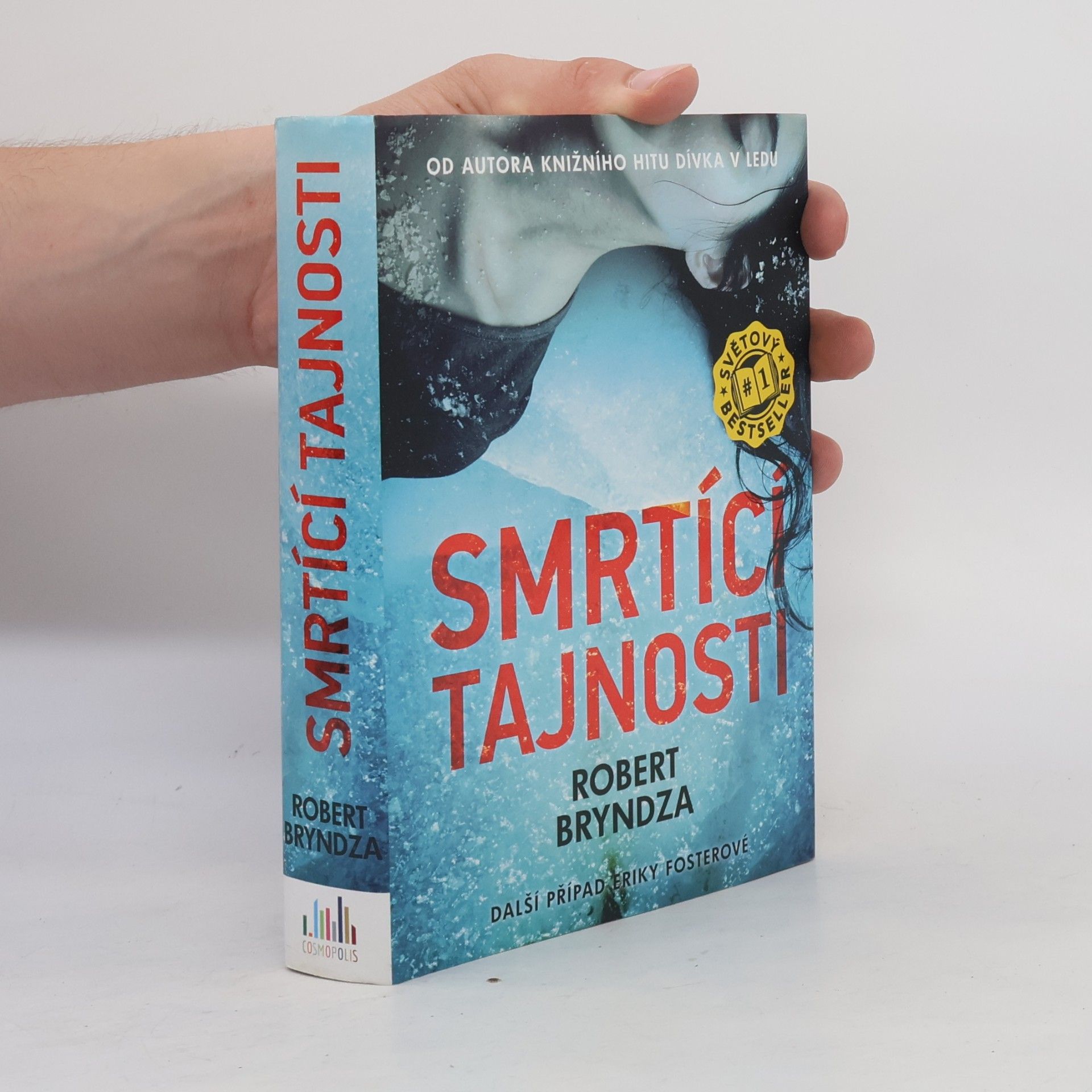 Robert Bryndza Smrtící tajnosti