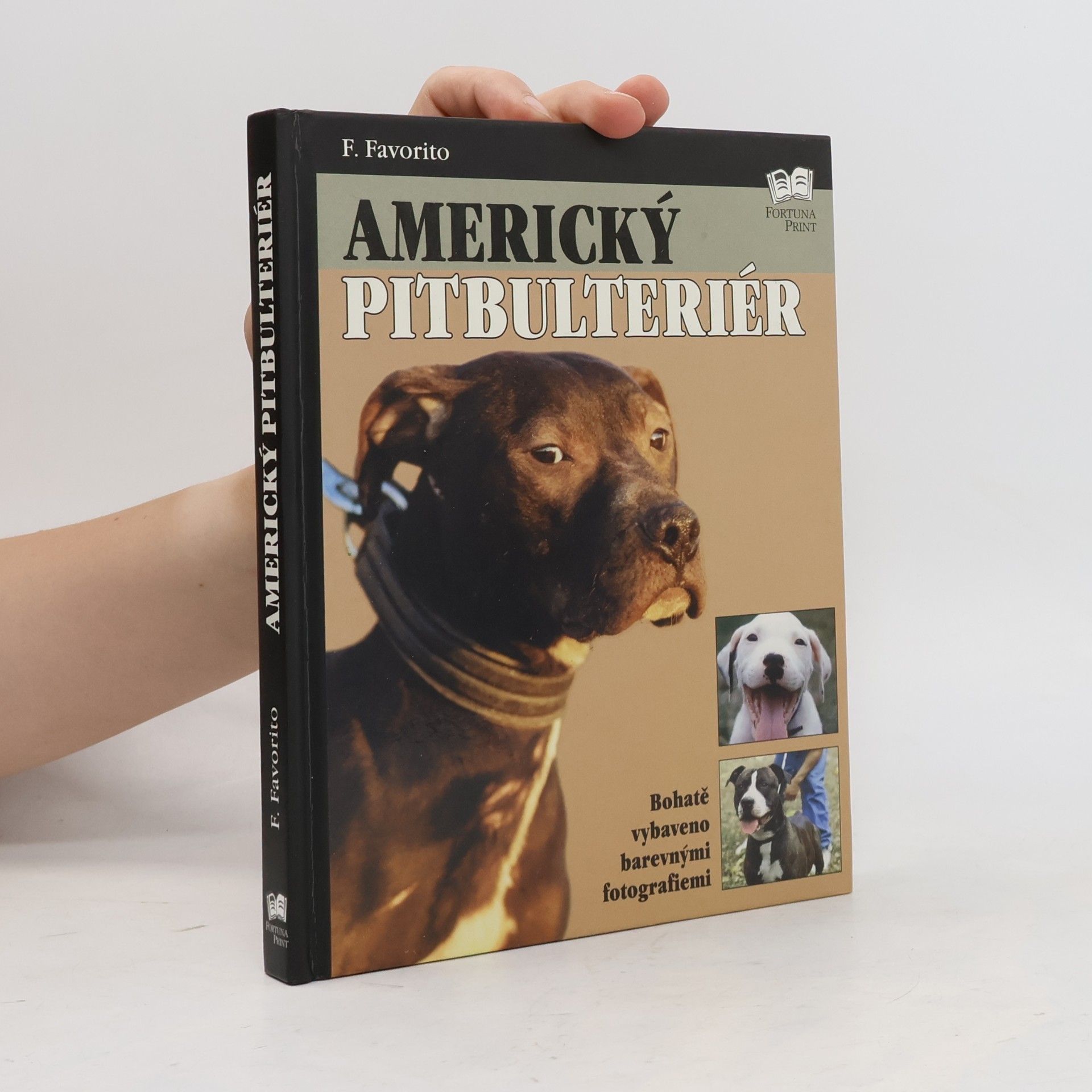 F. Favorito Americký pitbulteriér